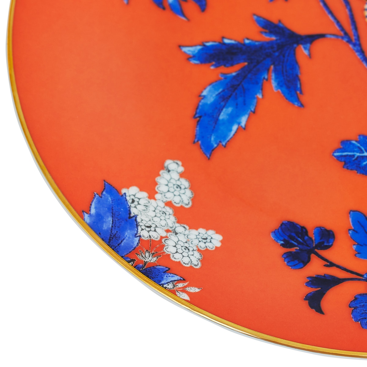 Prato de Sobremesa Wonderlust Golden Parrot Multicolor-3
