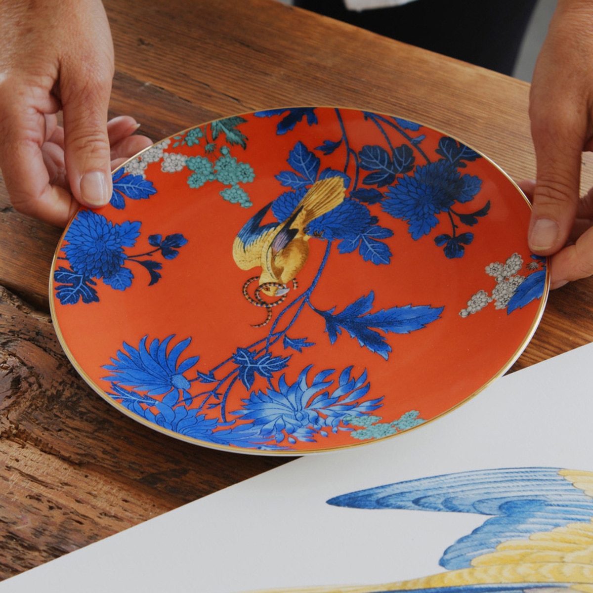 Prato de Sobremesa Wonderlust Golden Parrot Multicolor-5
