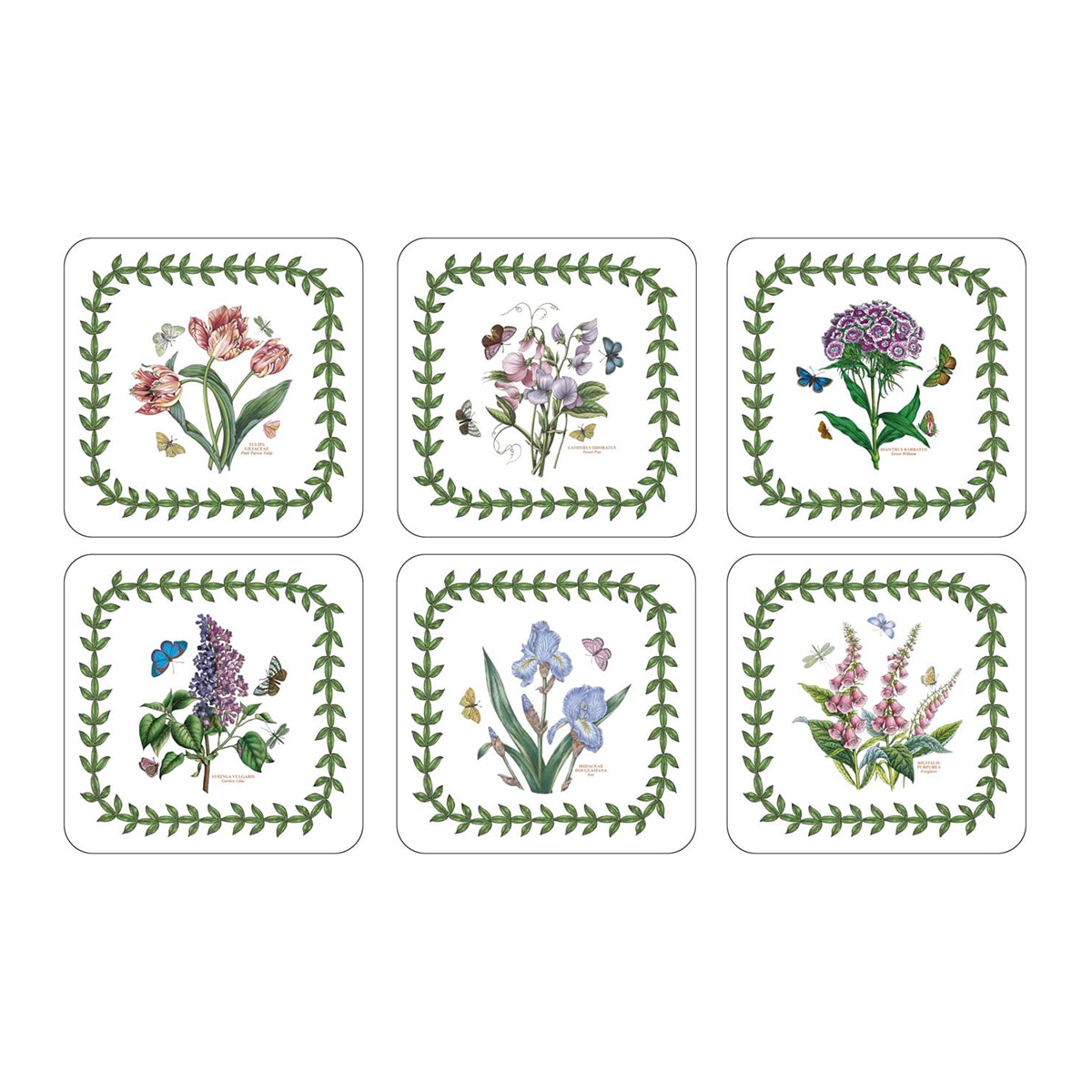 Conjunto de 6 Bases para Copos Botanic Garden Multicolor-1