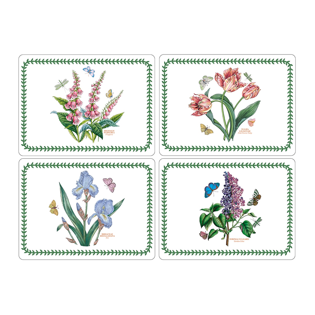 Imagem 0 de Conjunto de 4 Individuais Botanic Garden