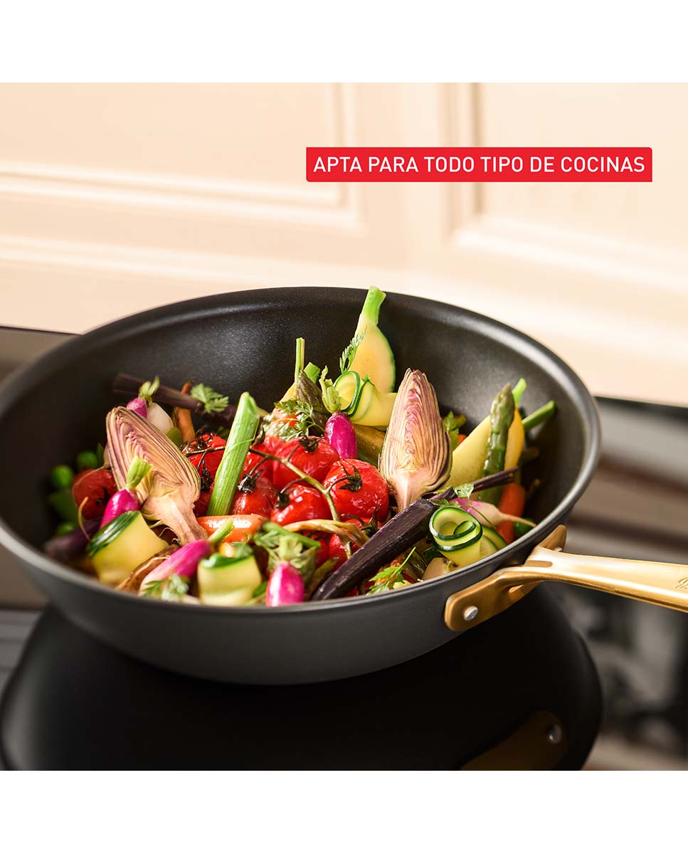 Wok de alumínio Paul Bocuse Tefal Preto-8