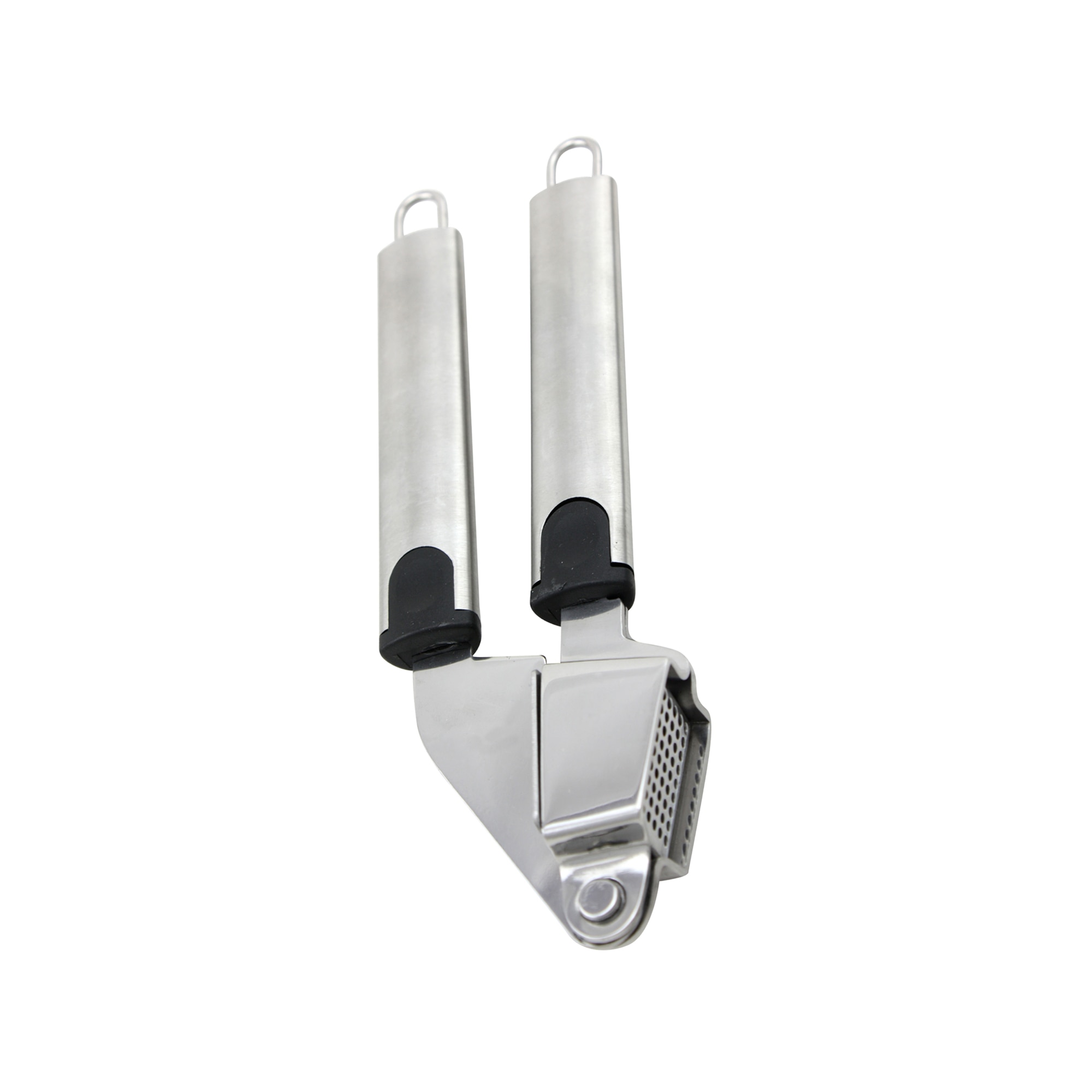 Imagen 0 de Prensa ajos Carolina Fackelmann