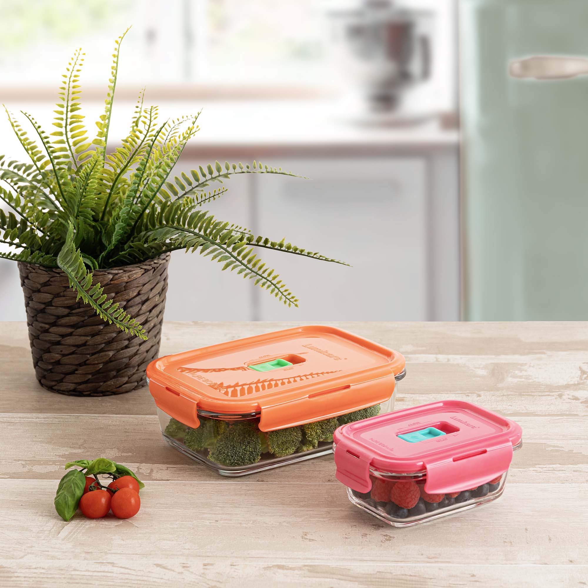 Conjunto de 2 Herméticos Holy Multicolor-9