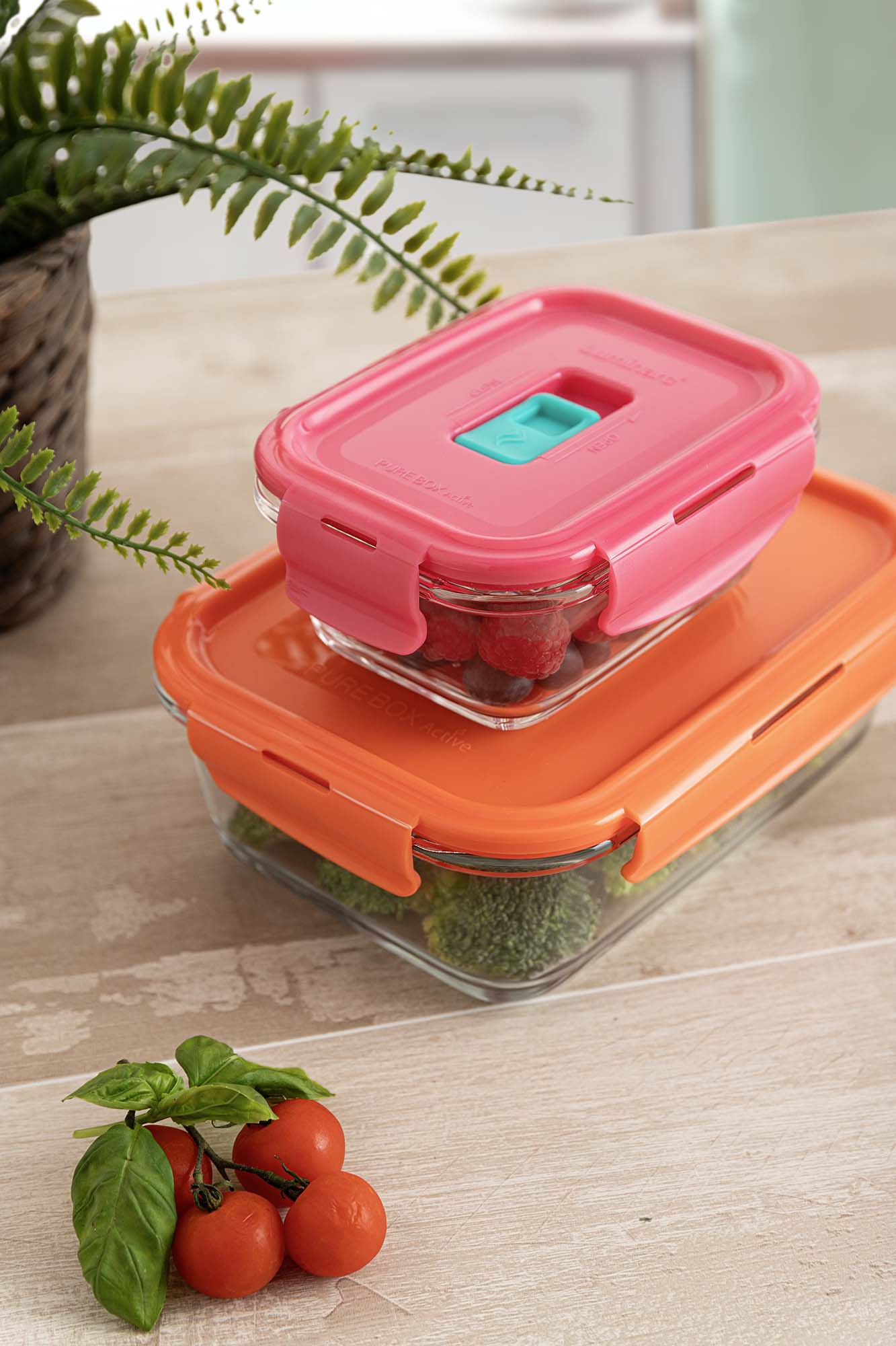 Conjunto de 2 Herméticos Holy Multicolor-10