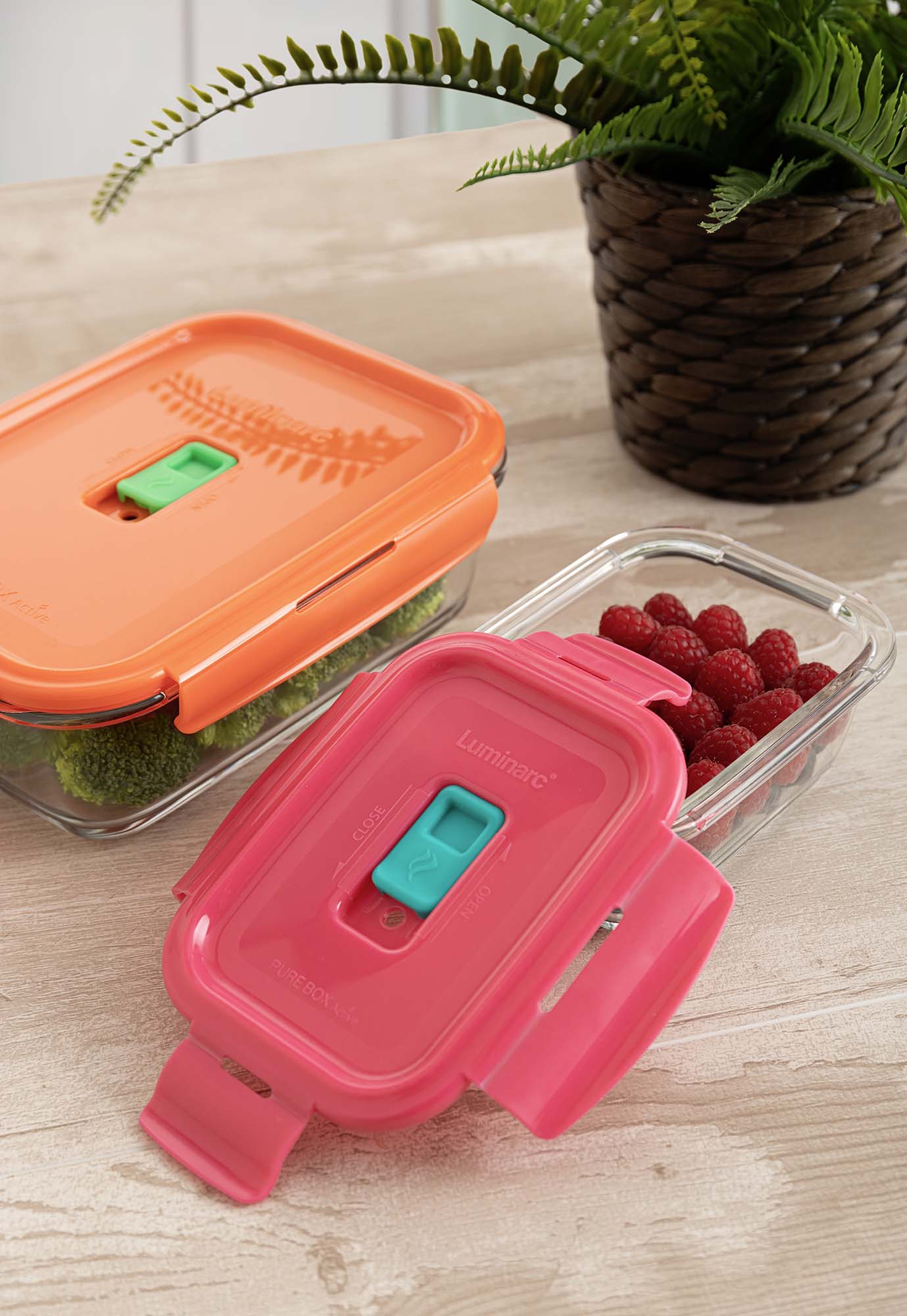 Conjunto de 2 Herméticos Holy Multicolor-11