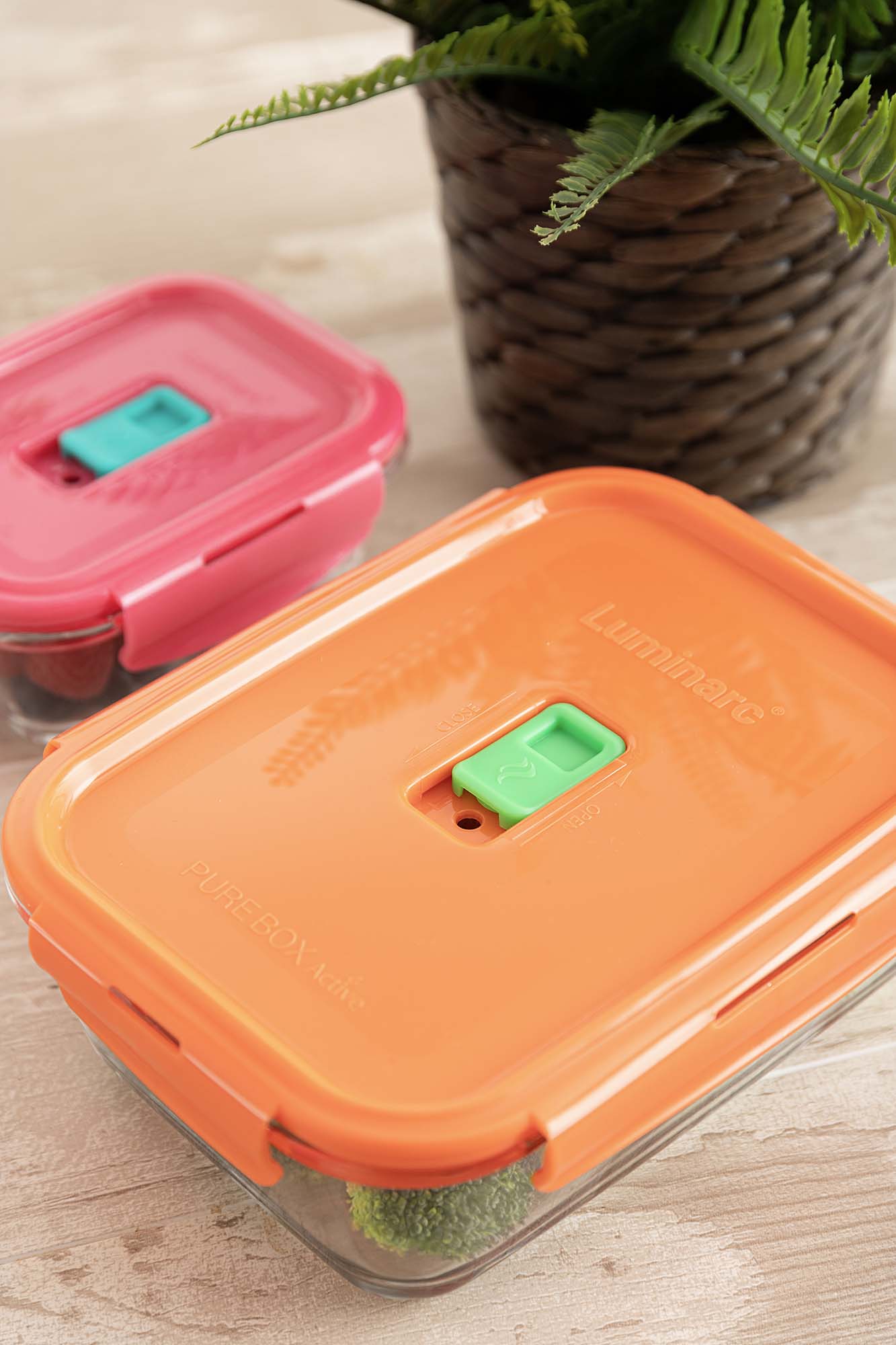 Conjunto de 2 Herméticos Holy Multicolor-12