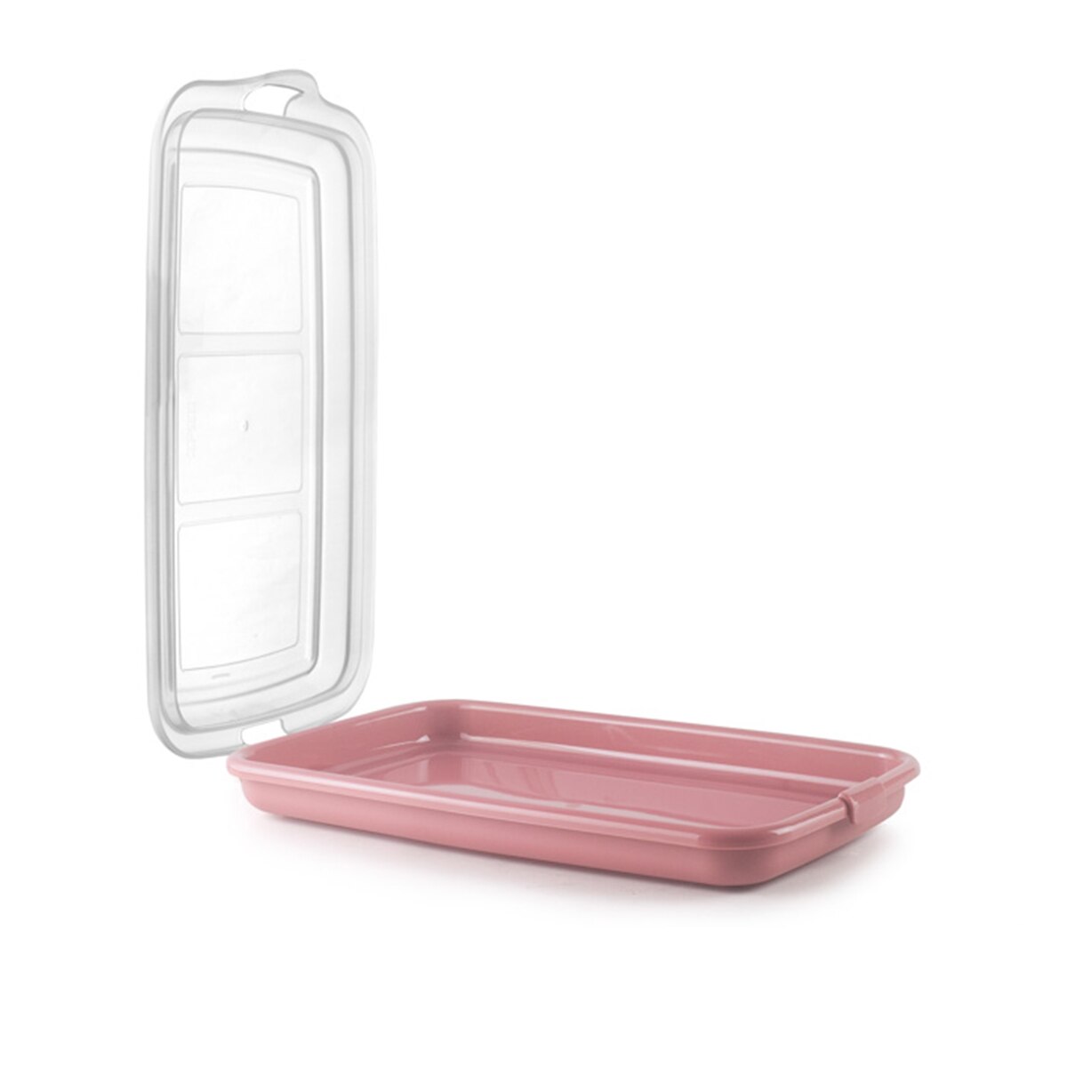 Recipiente de plástico Modelos Surtidos Ibili Multicolor-6