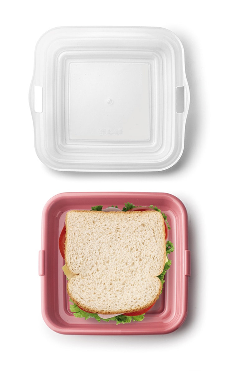 Sandwichera de plástico Modelos Surtidos Ibili Multicolor-8