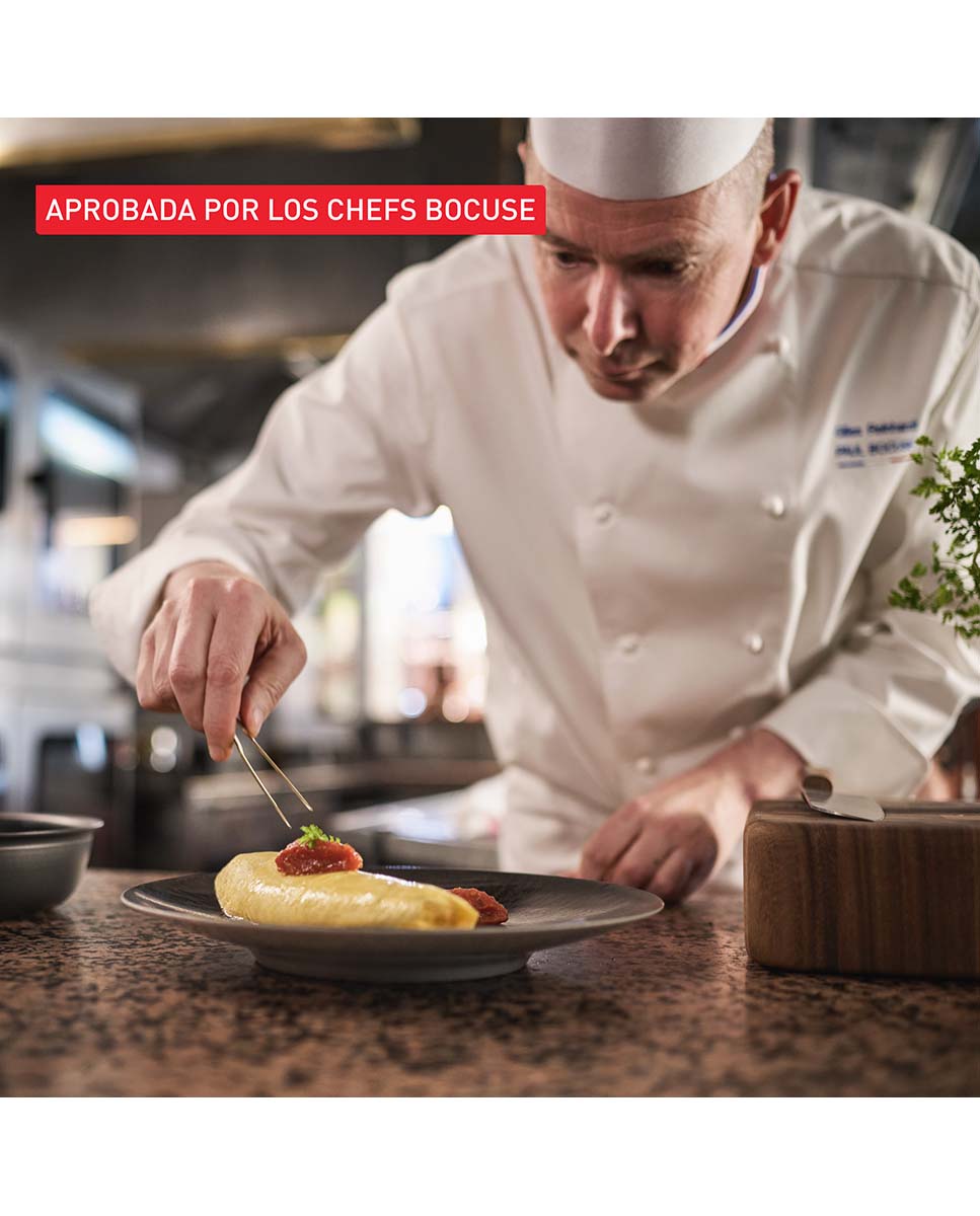 Frigideira de alumínio Paul Bocuse Tefal Preto-7