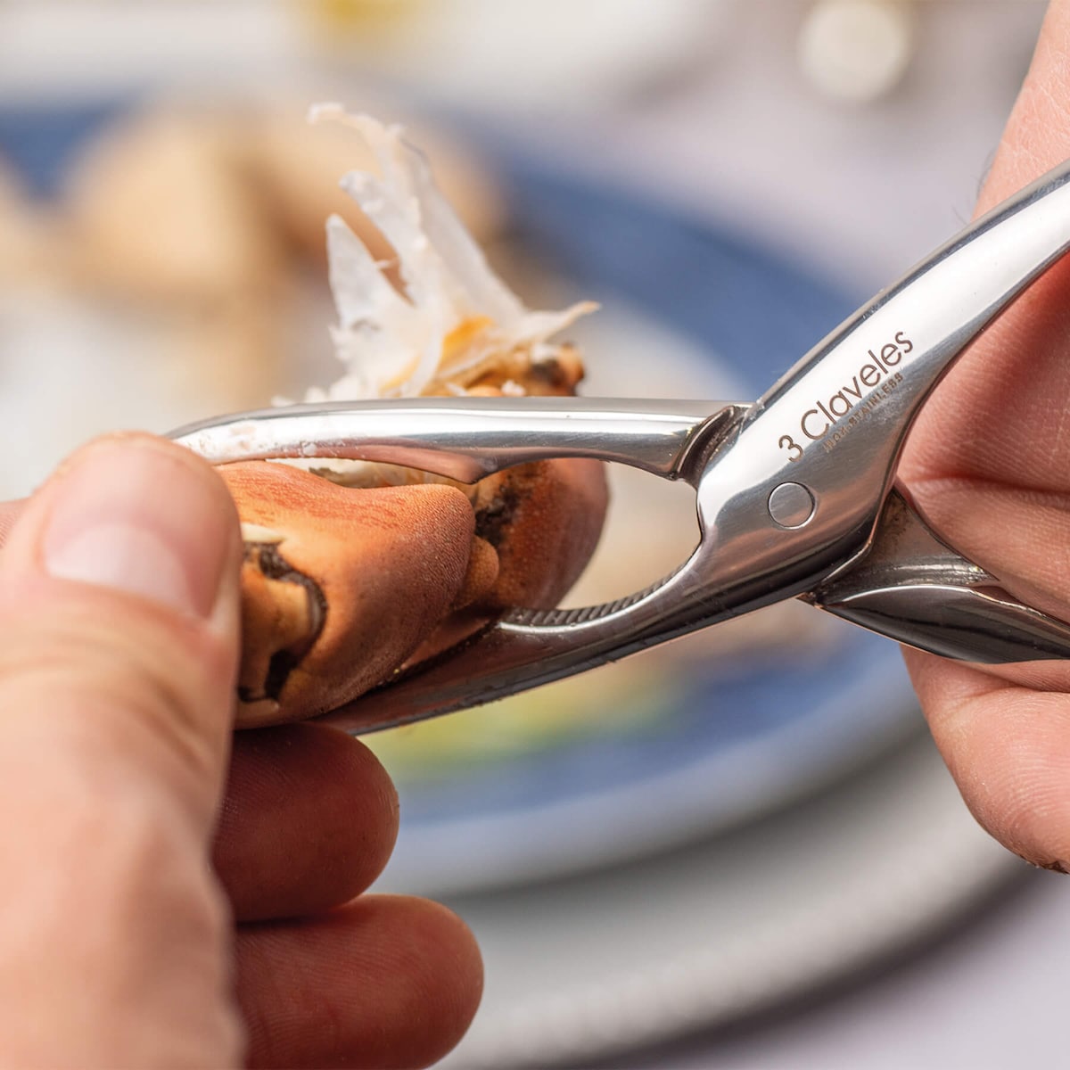 Pinça para cortar mariscos Forjado 3 Claveles Aço-3