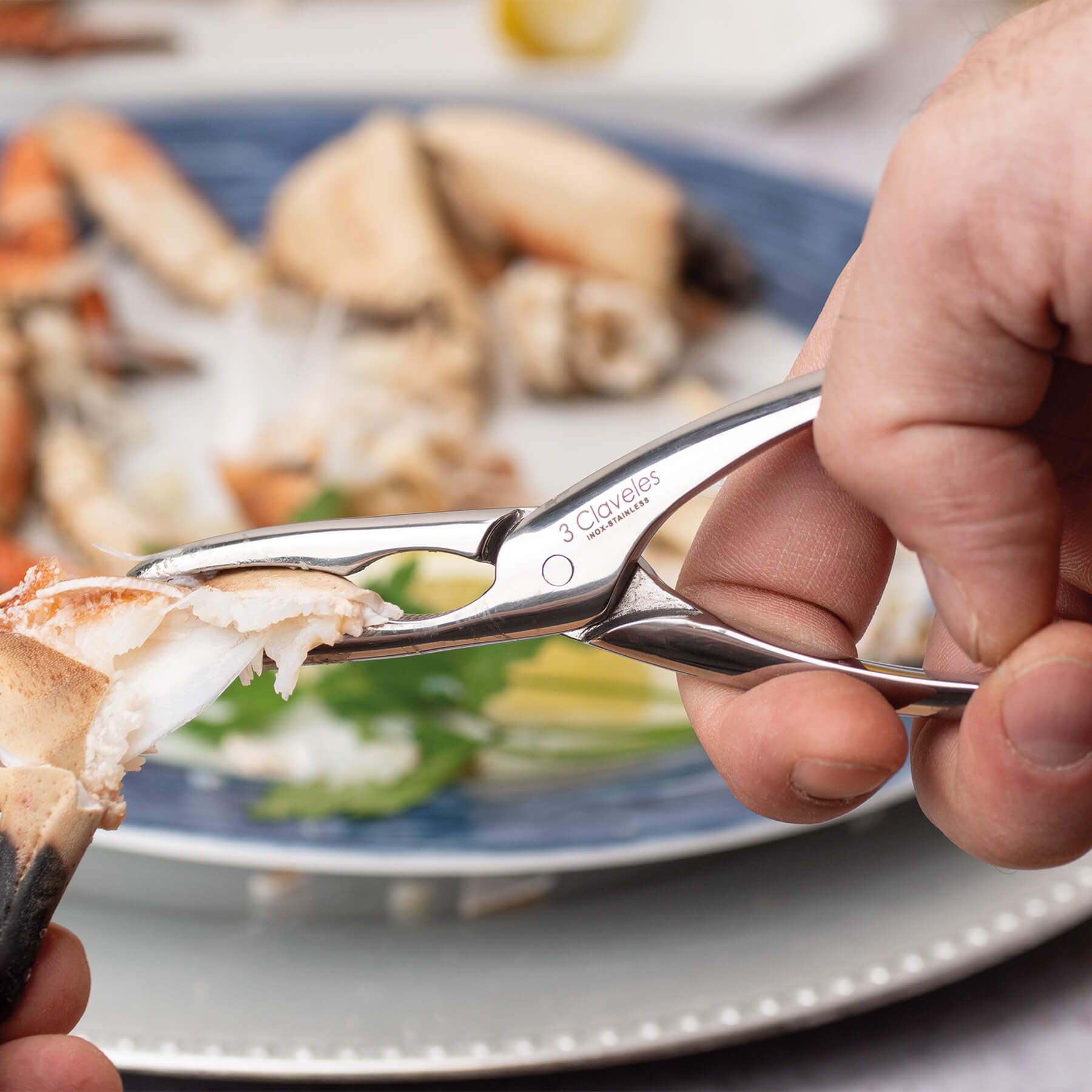 Pinça para cortar mariscos Forjado 3 Claveles Aço-4