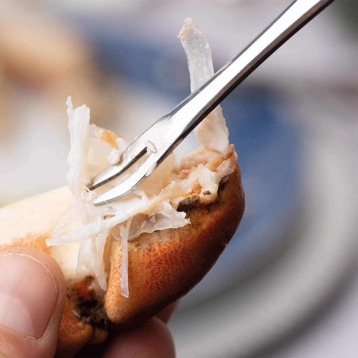 Conjunto de 4 garfos para marisco 3 Cravos Aço-3