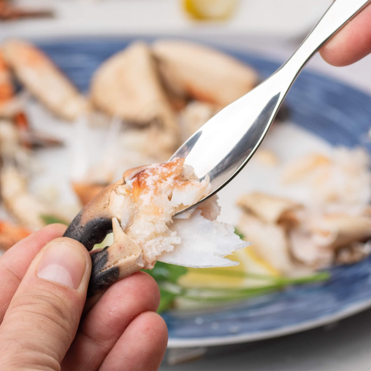 Conjunto de 4 garfos para marisco 3 Cravos Aço-4