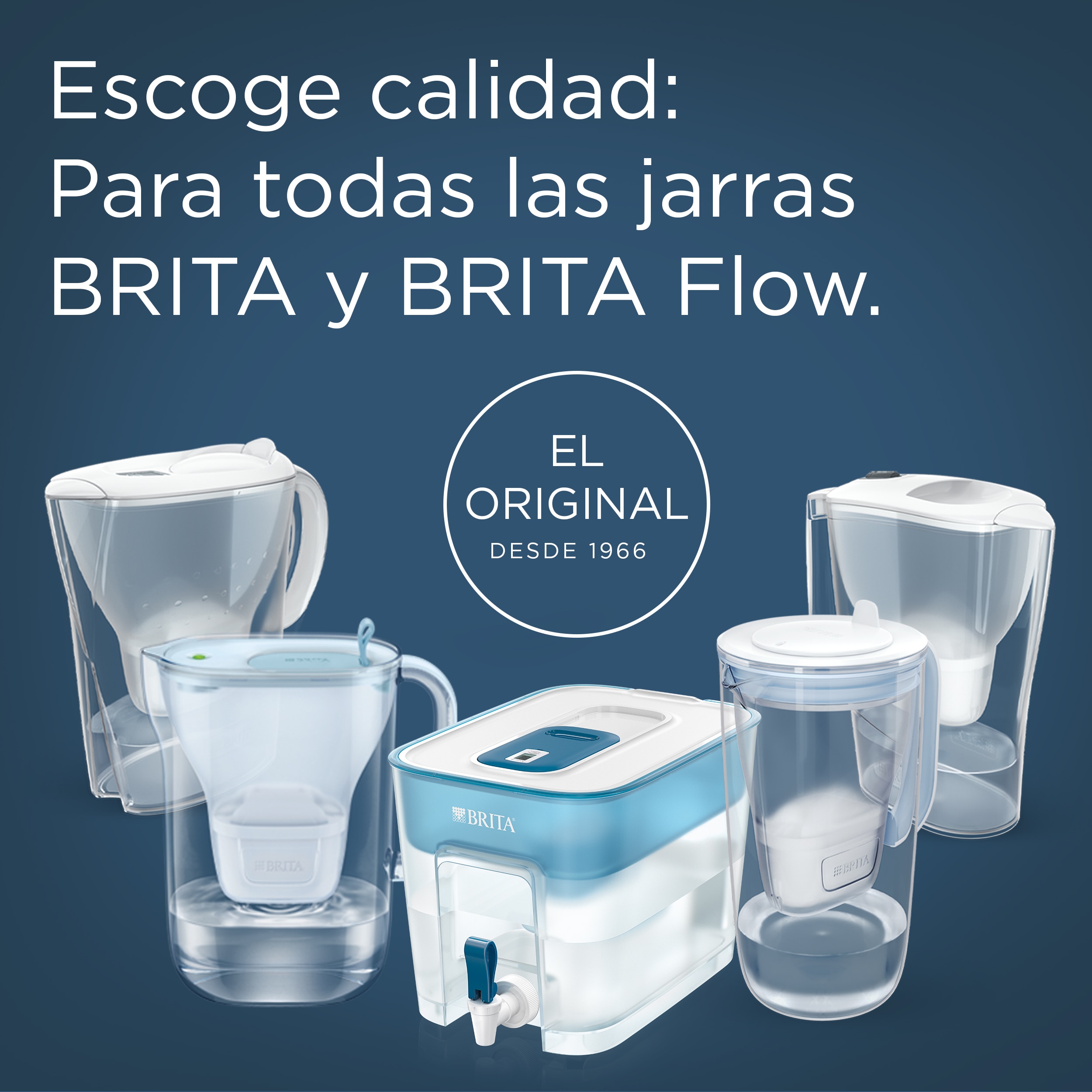 Pack de 6 Filtros de Água Maxtra Pro Pure Performance Branco-7