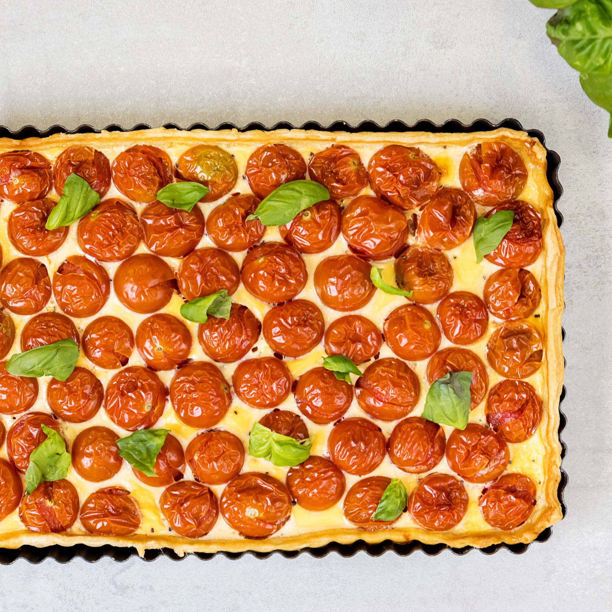 Forma Retangular Antiaderente para Quiche Cinzento-3