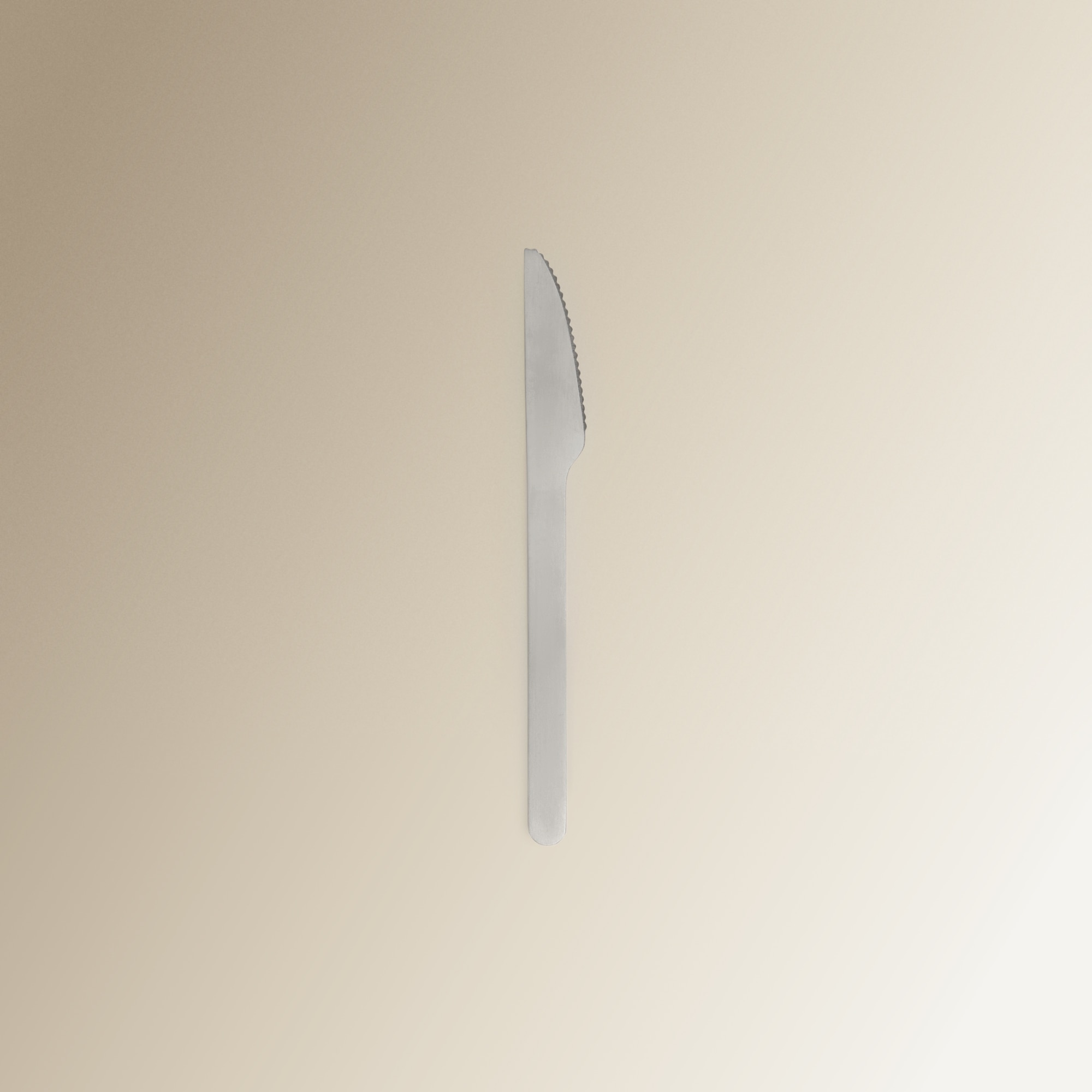 Conjunto de 3 Talheres com Estojo Eco Creme-2