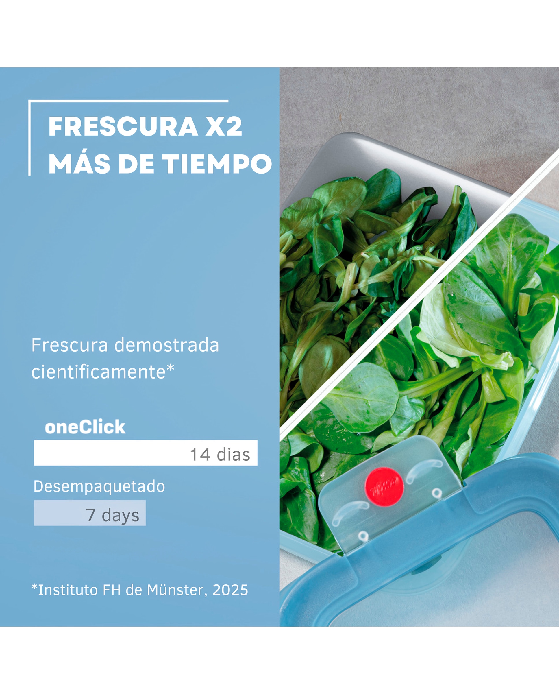 Hermético rectangular a prueba de fugas Plastico OneClick Emsa - Azul 0,5 litros Azul-5