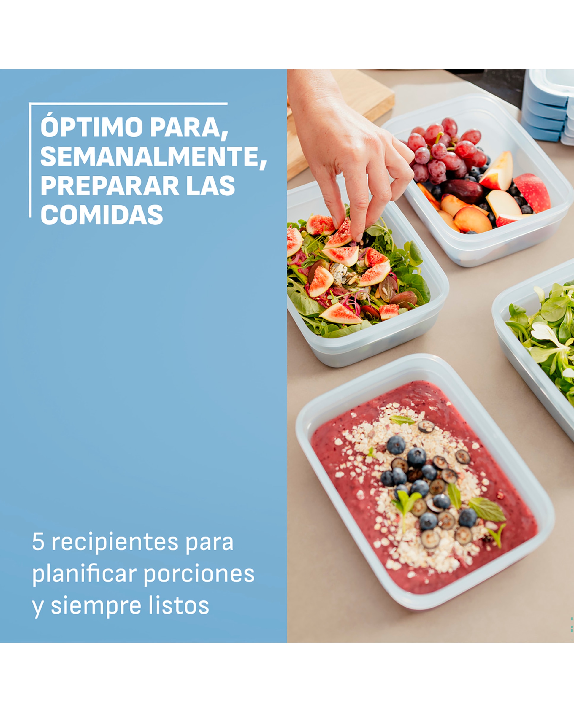 Hermético rectangular a prueba de fugas Plastico OneClick Emsa - Azul 0,5 litros Azul-7