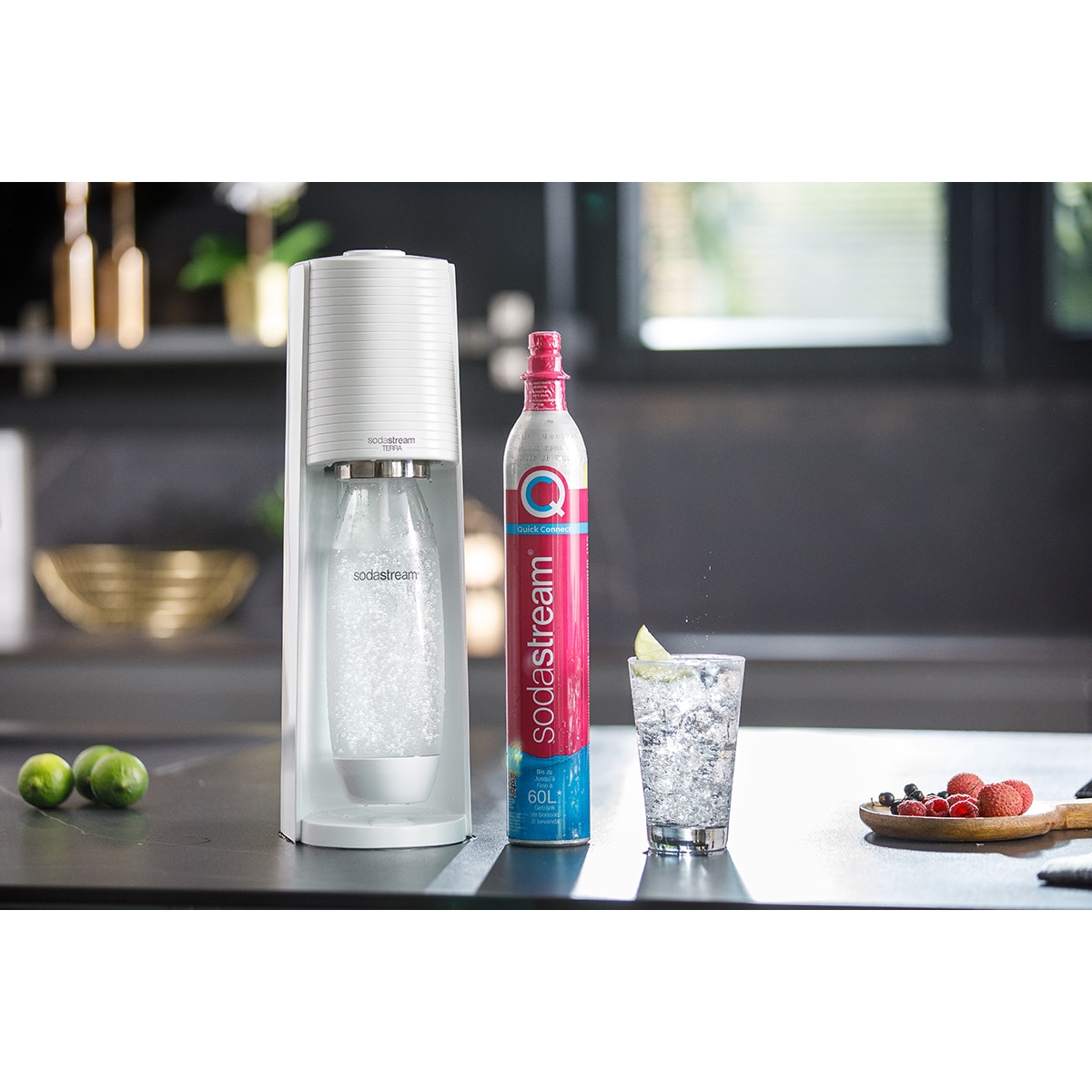 Máquina de Carbonatação de Água Terra Branco-5