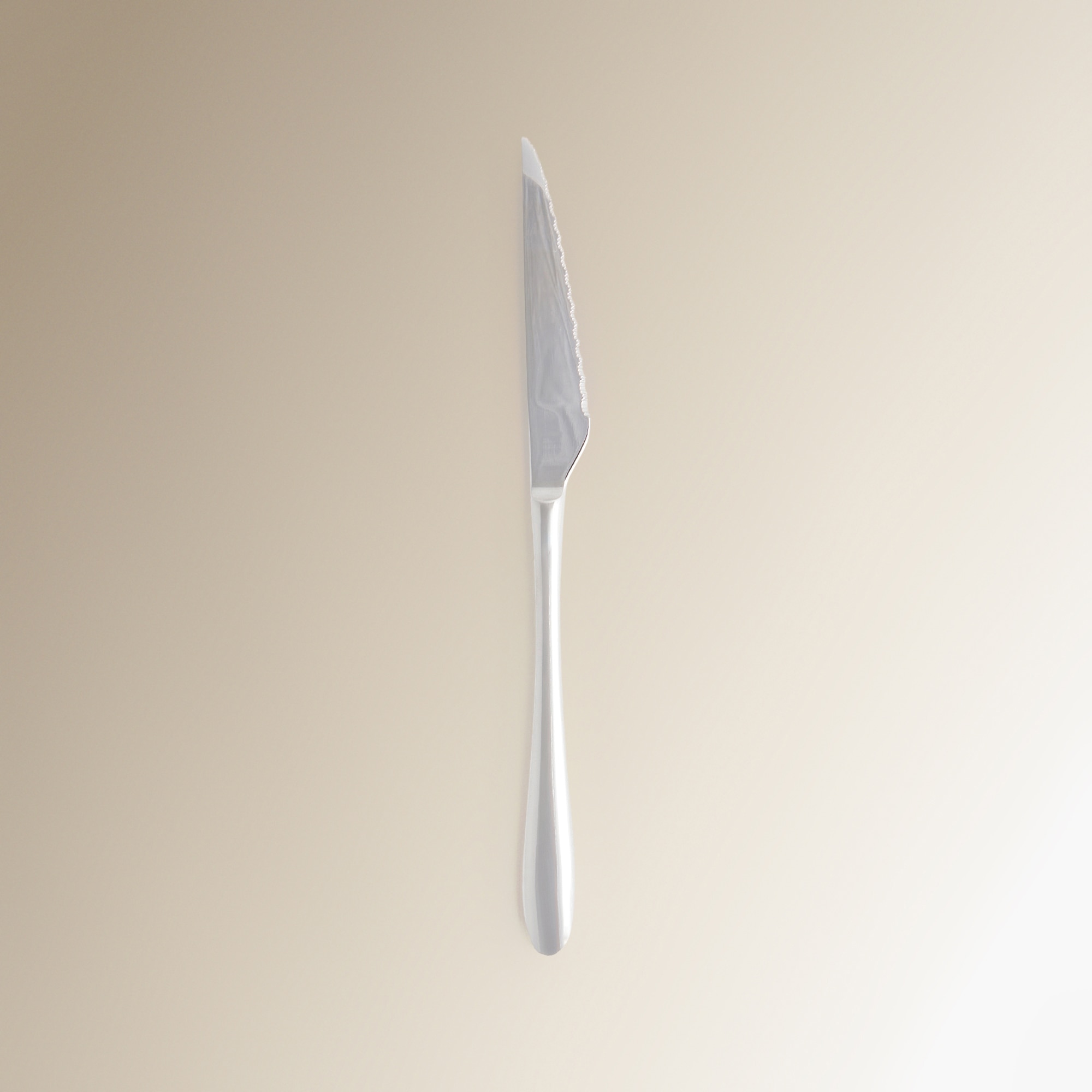 Faqueiro de 24 Peças Volga Aço-3