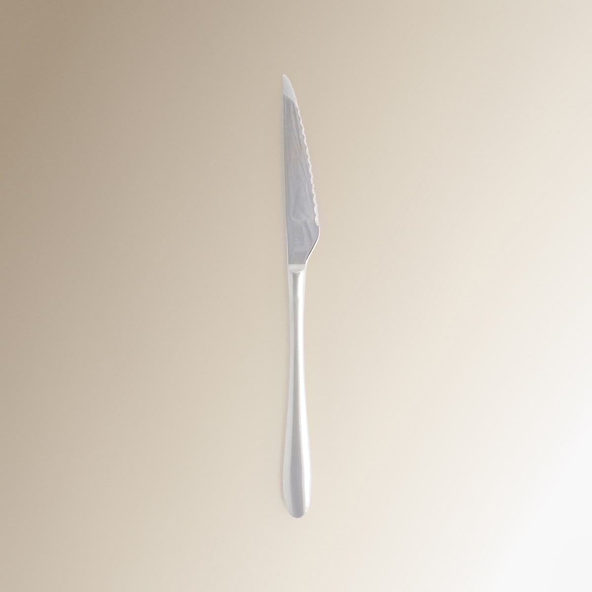 Faqueiro de 24 Peças Volga Aço-3