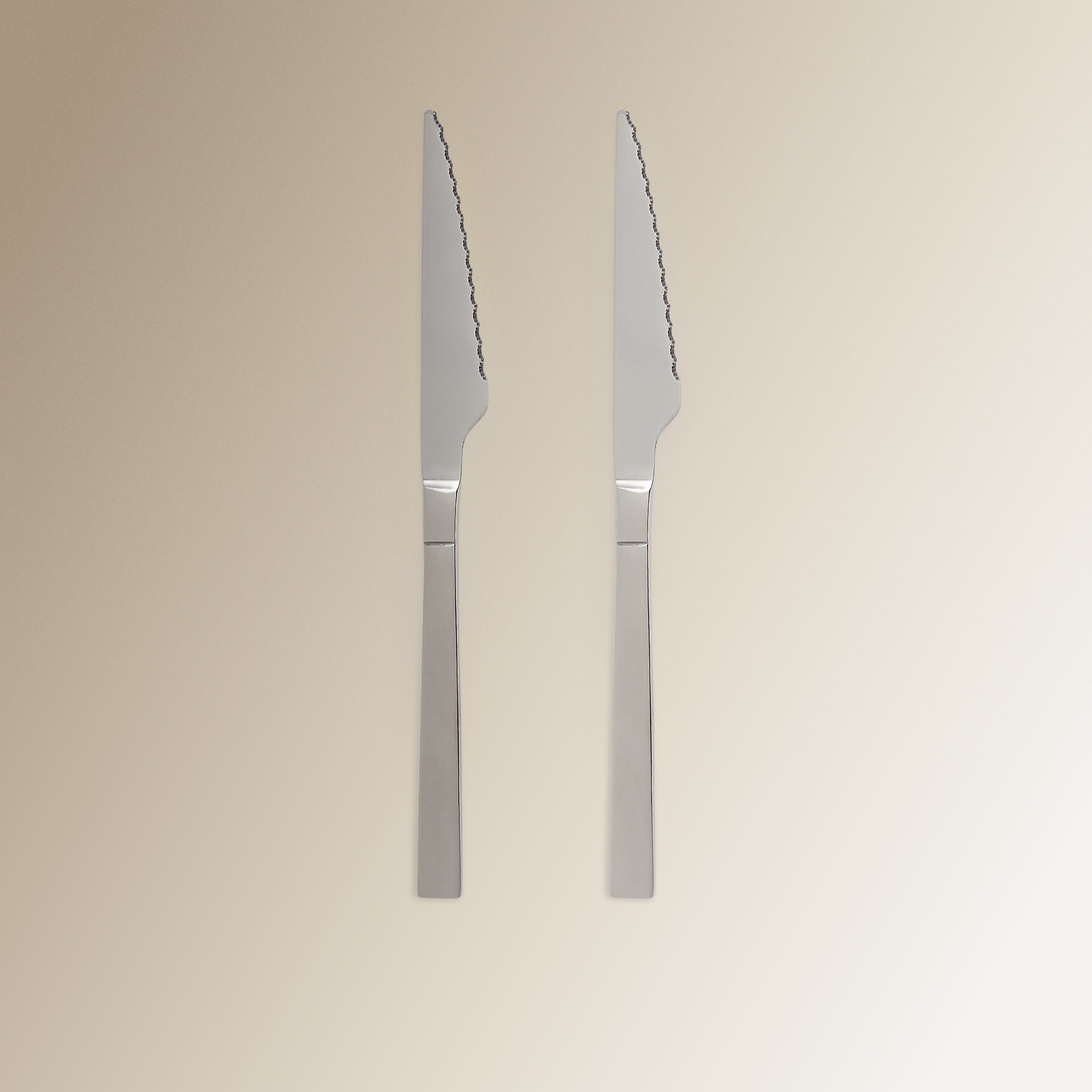 Imagen 0 de Pack de 2 cuchillos de carne Sagres Basics El Corte Inglés