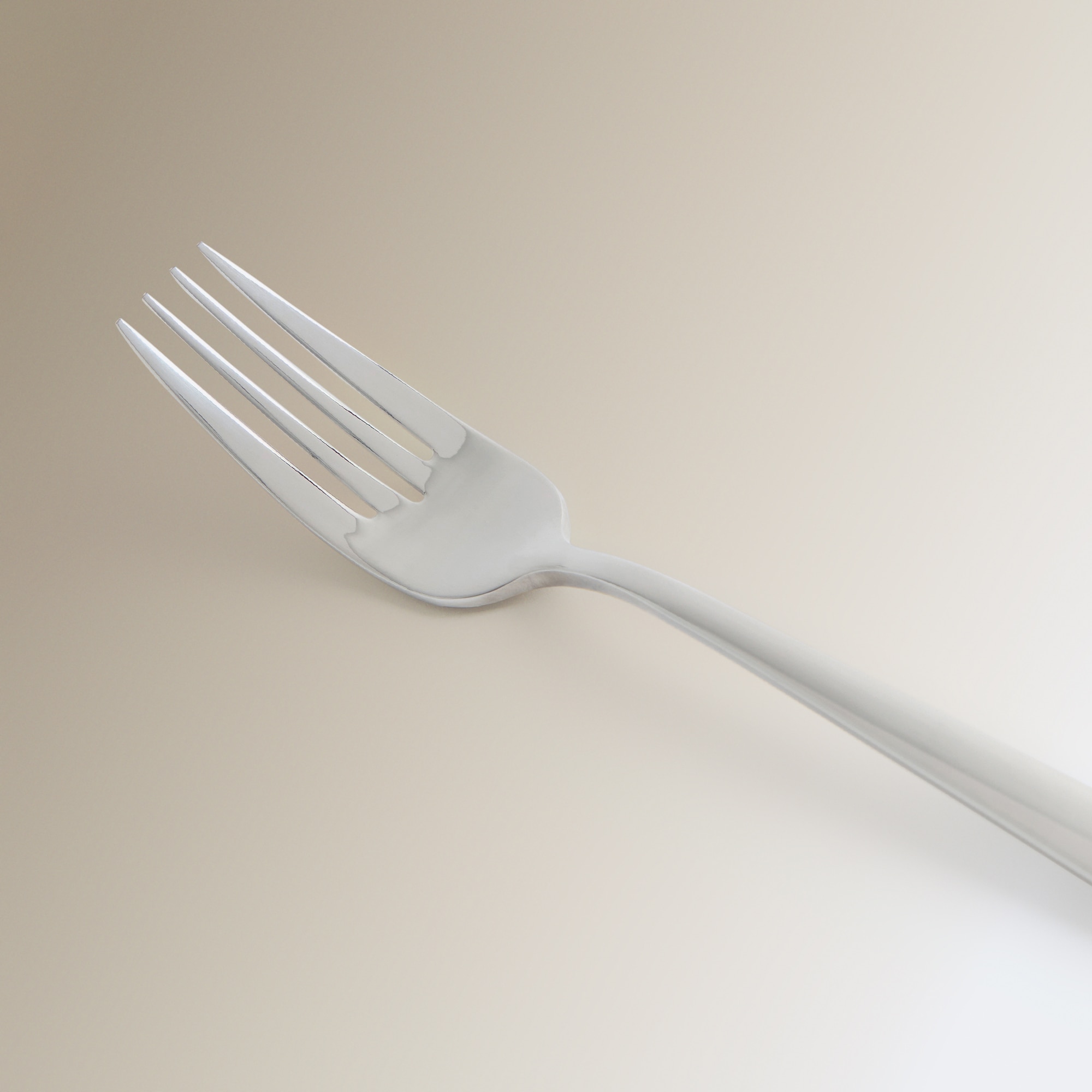 Garfo de Peixe Hudson Aço-2