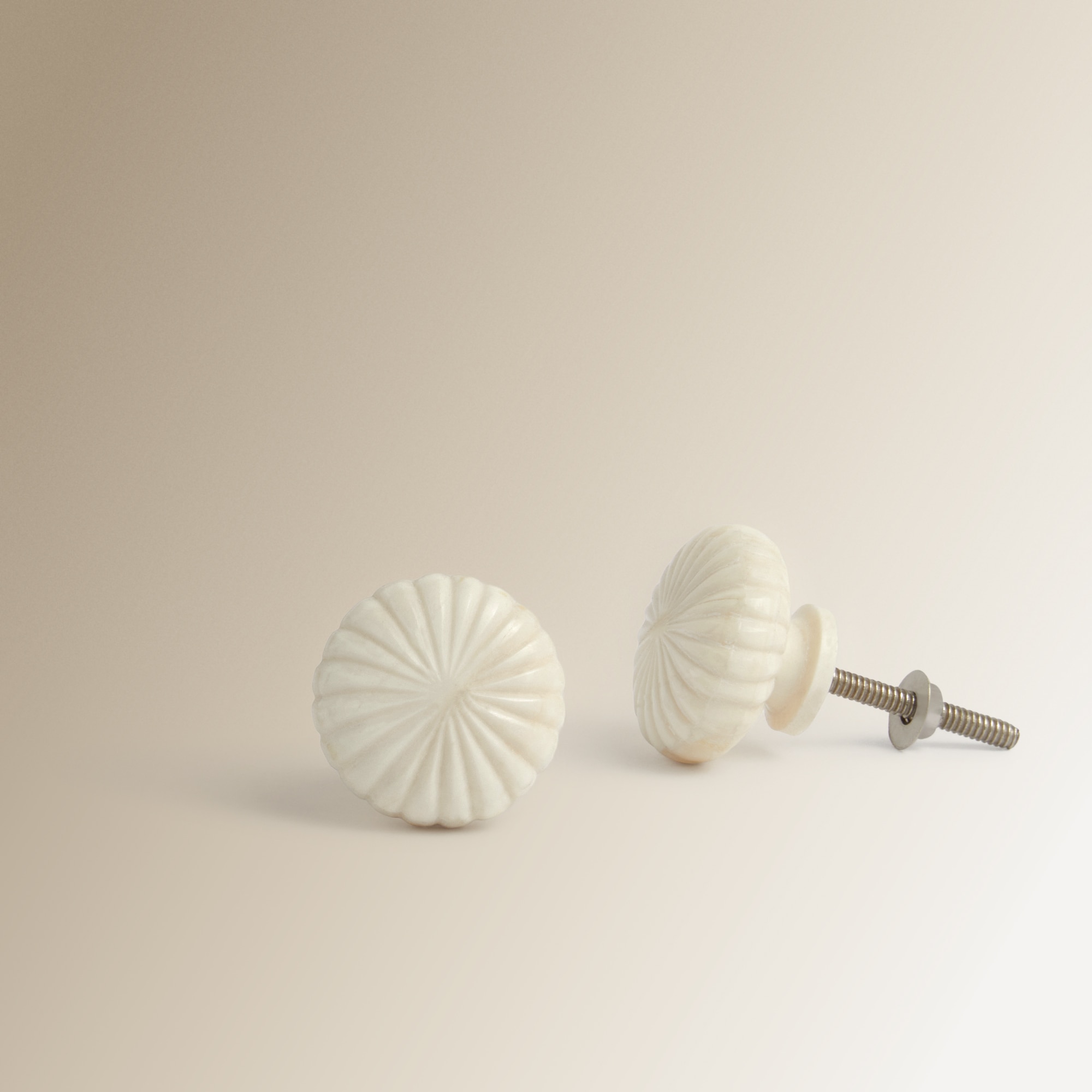 Conjunto de 2 Puxadores Flor de Osso Bone Branco-3