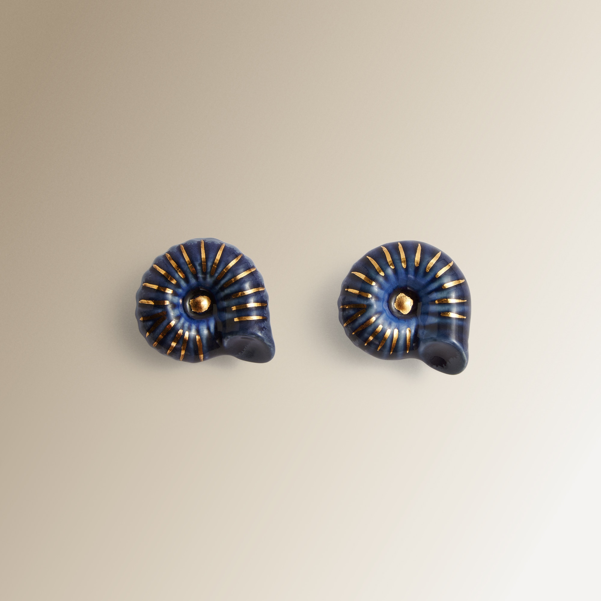 Conjunto de 2 Puxadores em Forma de Caracol Azul-1