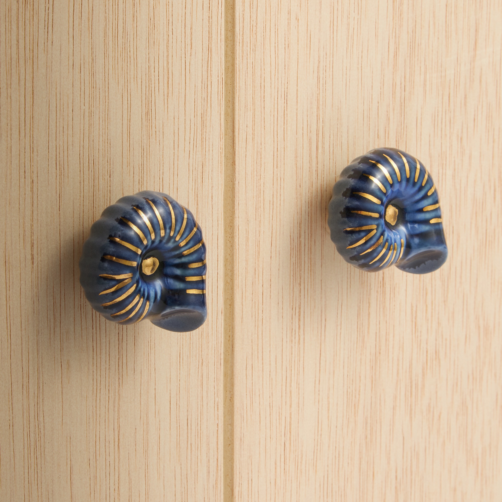 Conjunto de 2 Puxadores em Forma de Caracol Azul-2