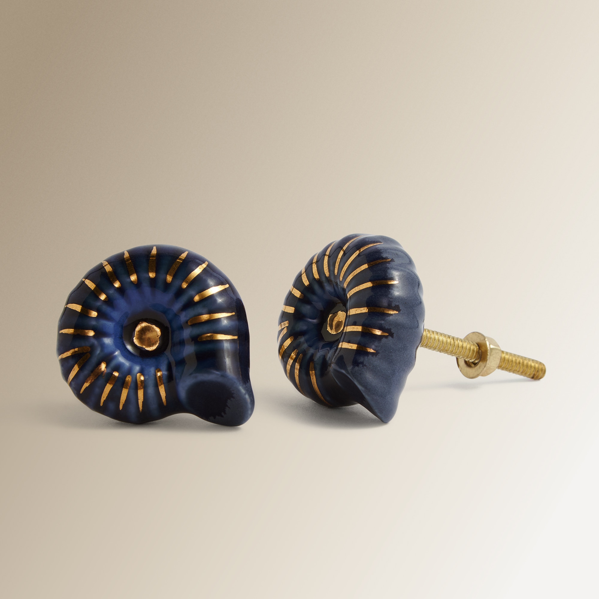Conjunto de 2 Puxadores em Forma de Caracol Azul-3