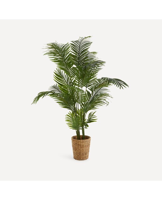 Imagen 0 de Pack de Macetero Seagrass fibra fina Lecce + Árbol artificial Areca 170 cm El Corte Inglés