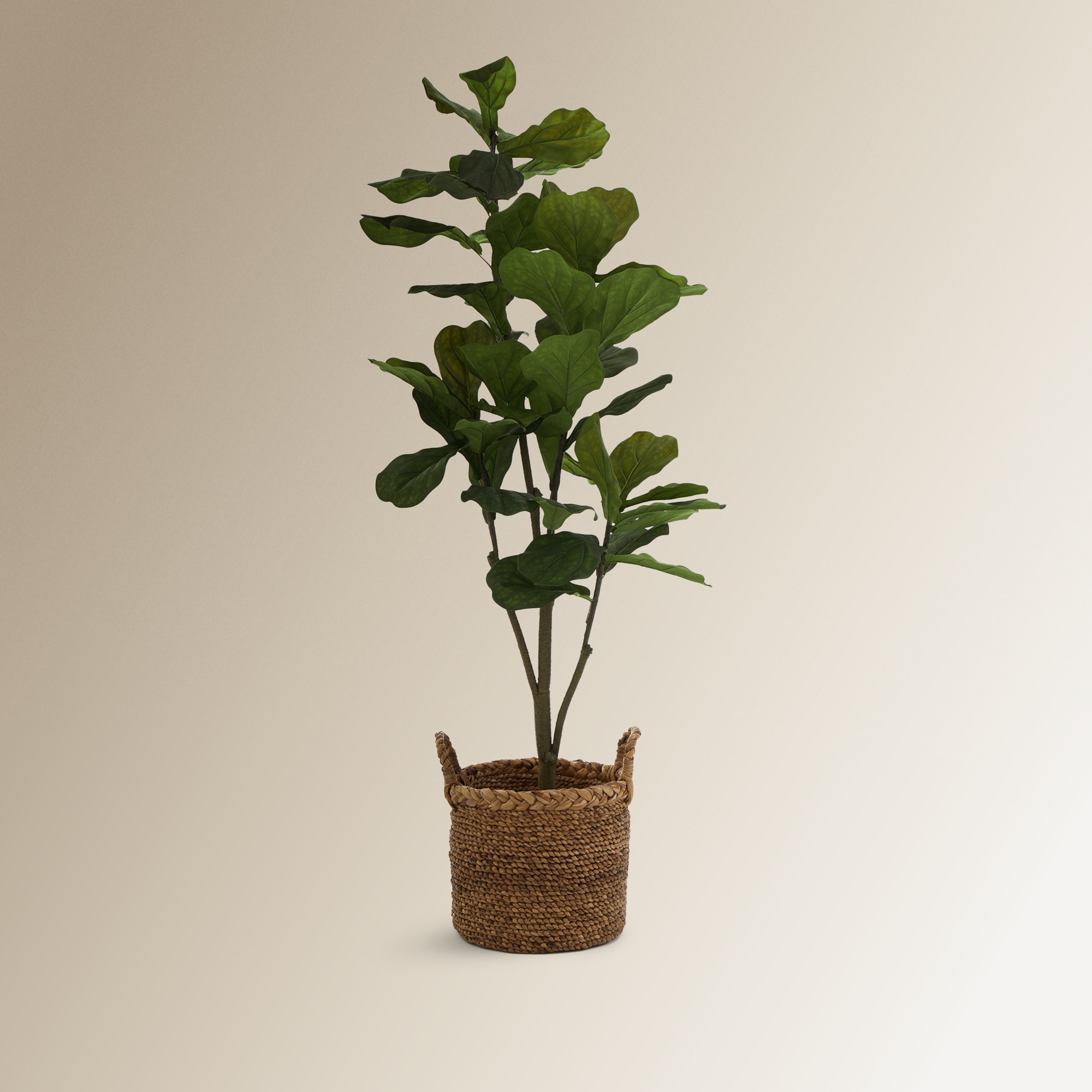 Cesta decorativa entrançada Batam Natural-4