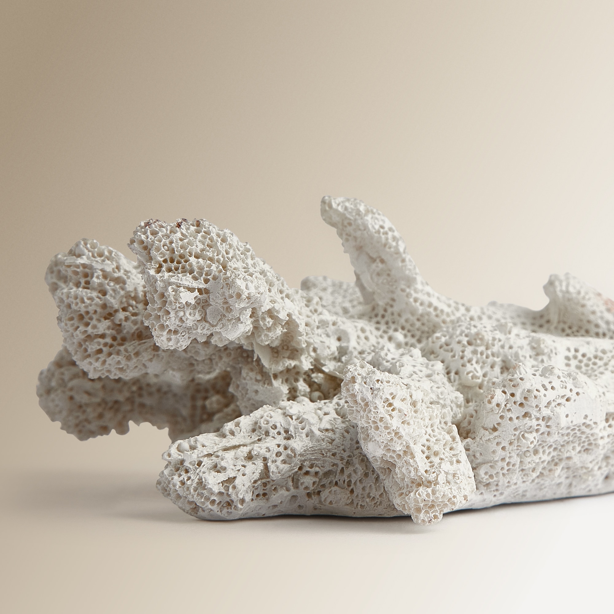 Cabide de parede em forma de coral Marinio El Corte Inglés Bege-2