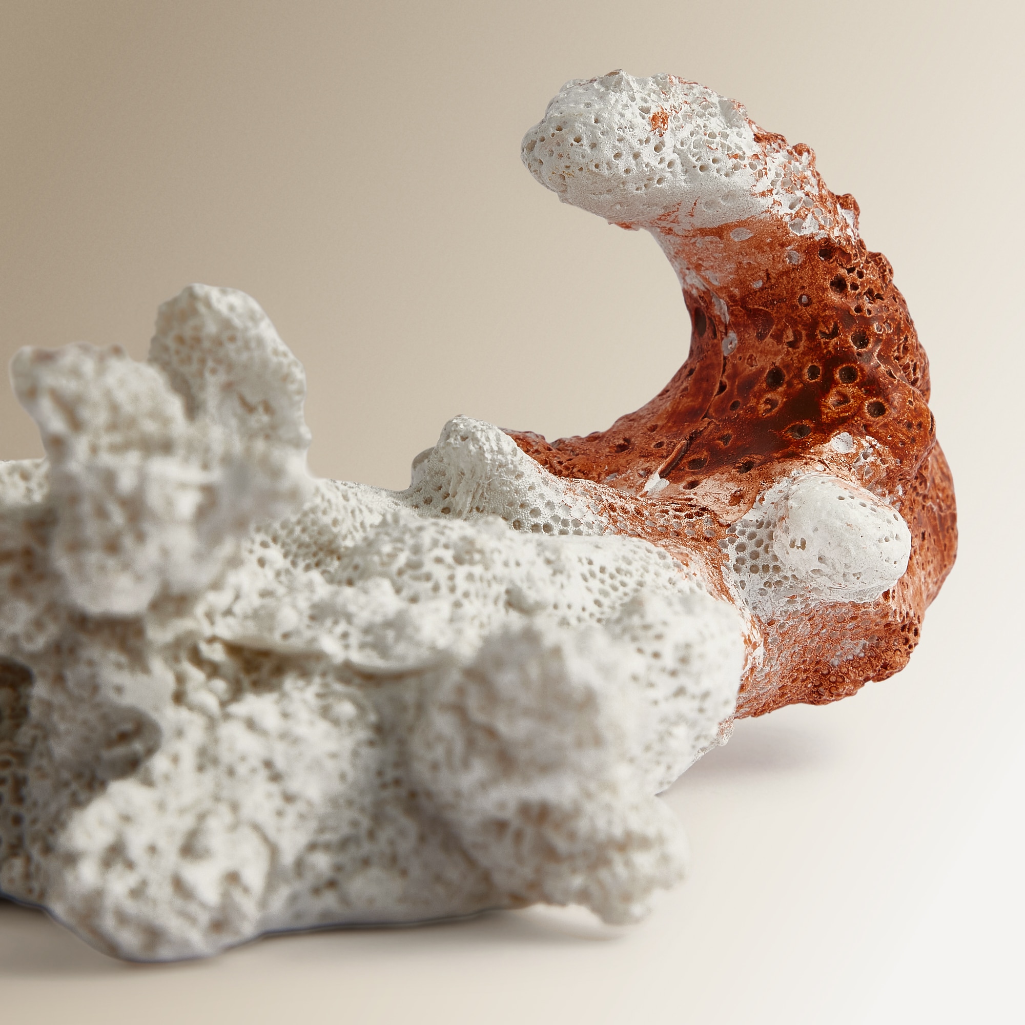 Cabide de parede em forma de coral Marinio El Corte Inglés Bege-3