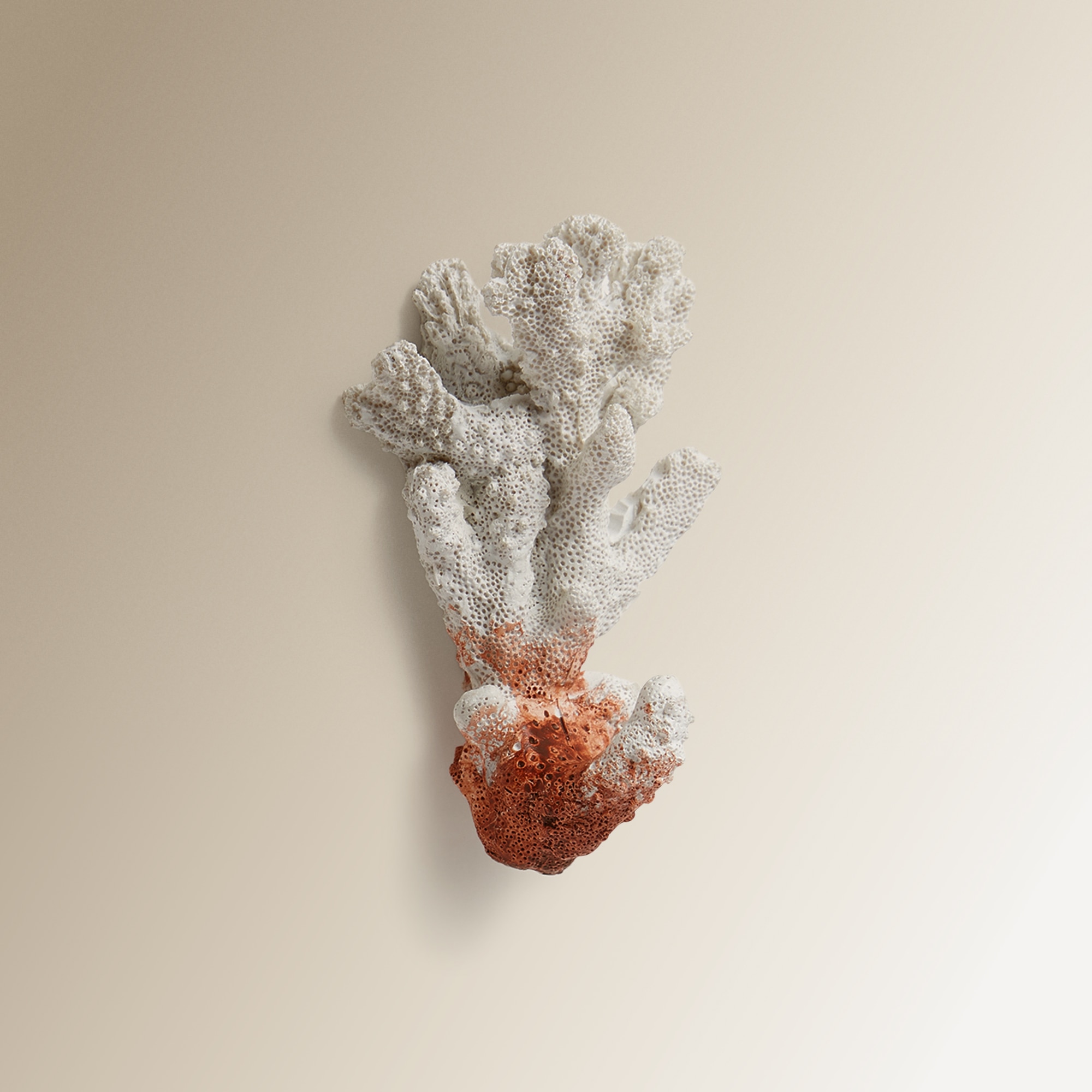 Cabide de parede em forma de coral Marinio El Corte Inglés Bege-5
