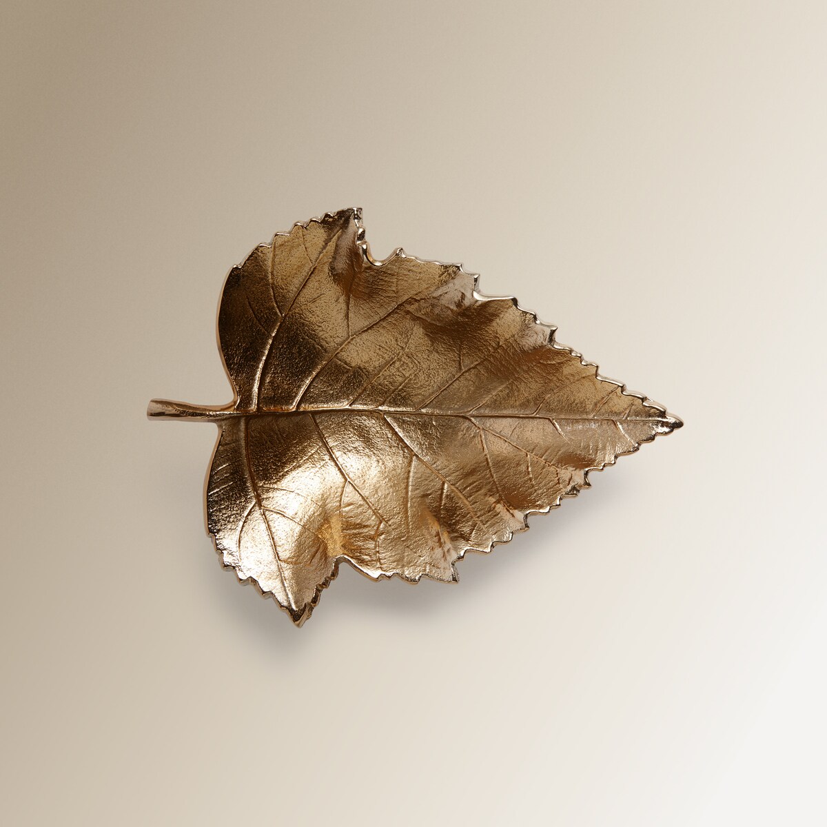 Despeja-bolsos Fall Ouro-4