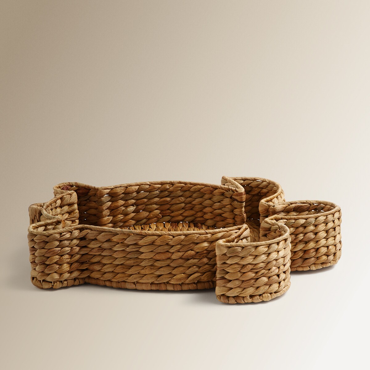 Centro de Mesa Tartaruga Natural-2