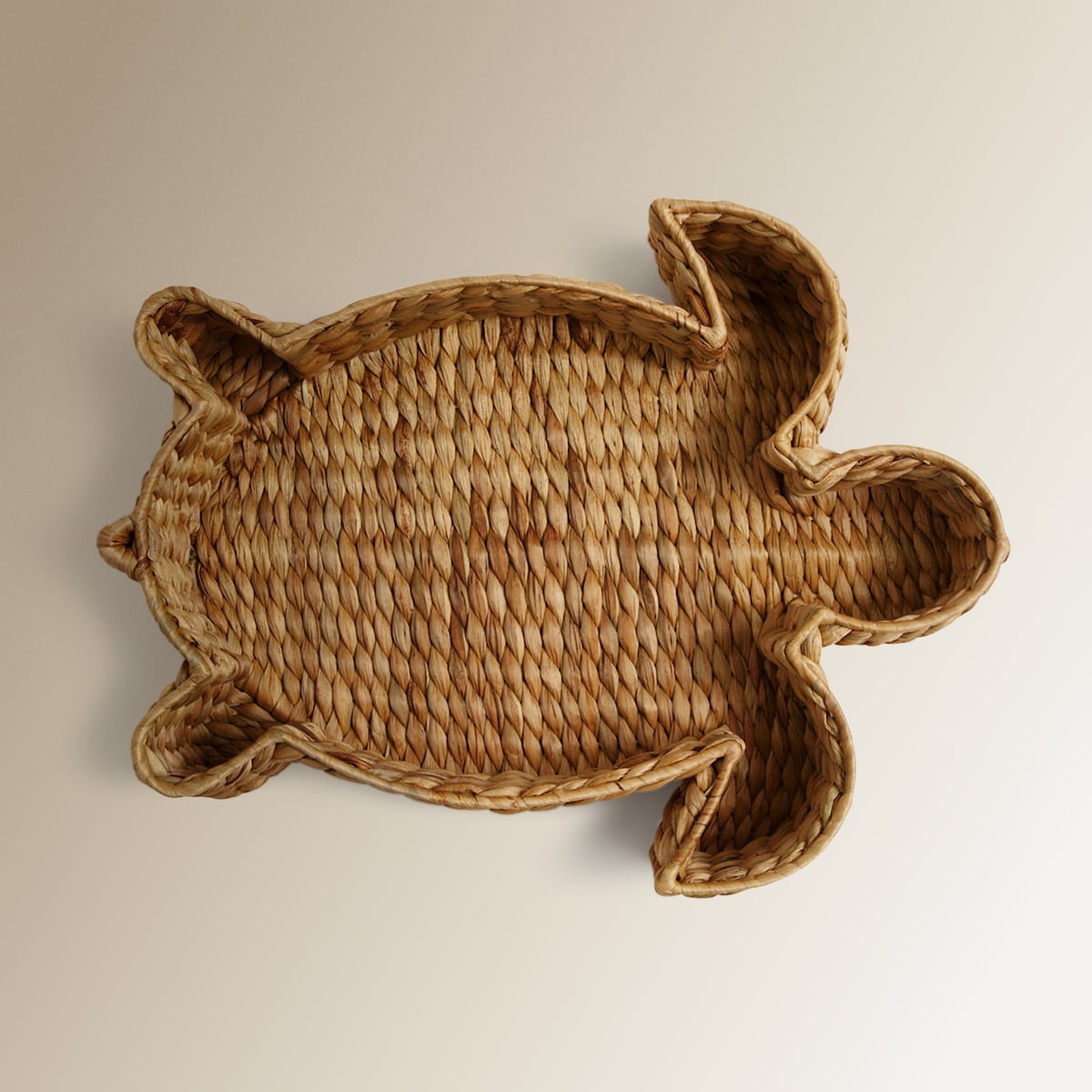 Centro de Mesa Tartaruga Natural-3