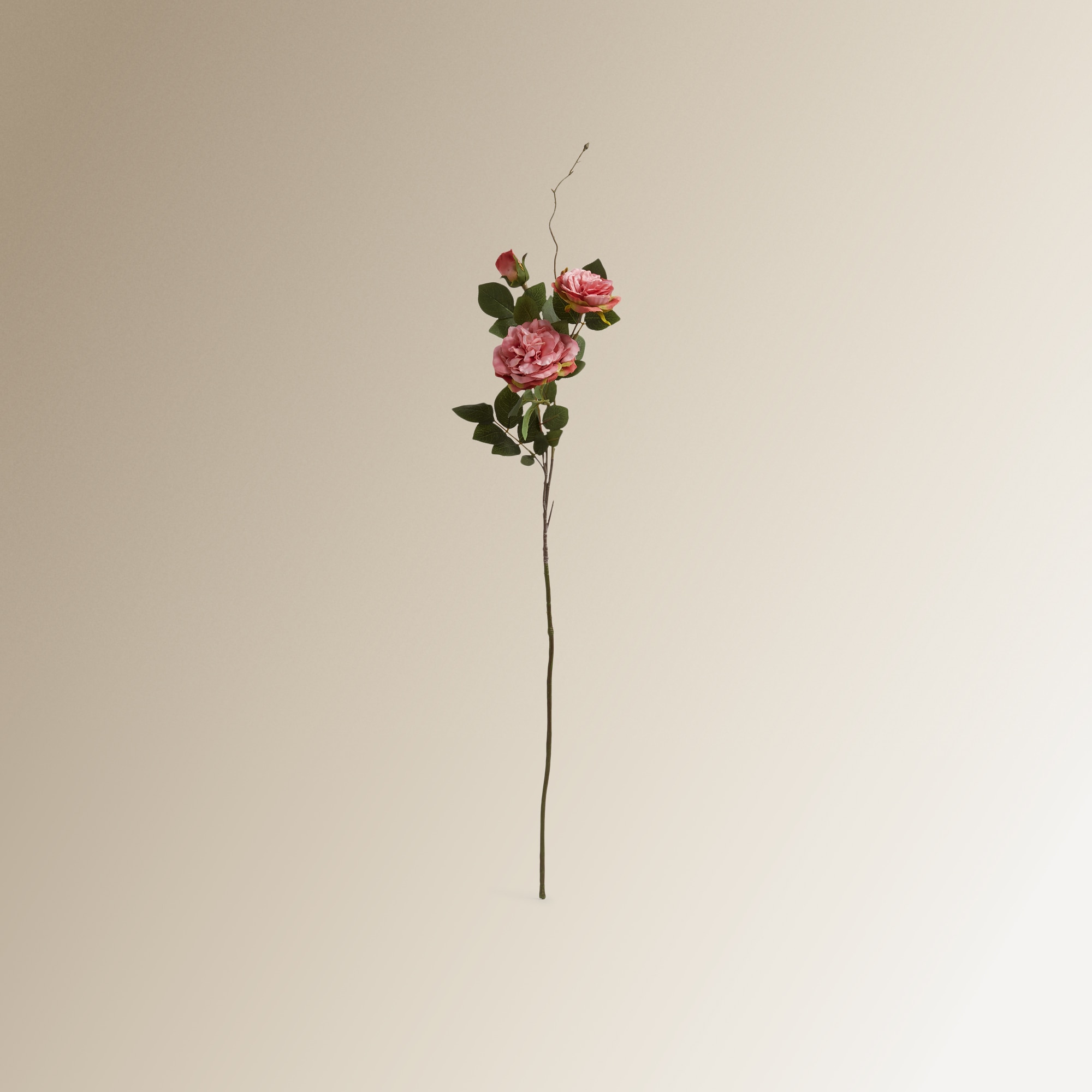 Imagem 0 de Ramo Artificial de Peónia Rose - 89 cm