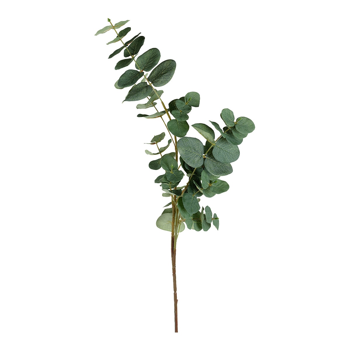Rama artificial Eucalipto El Corte Inglés - Verde Verde-1