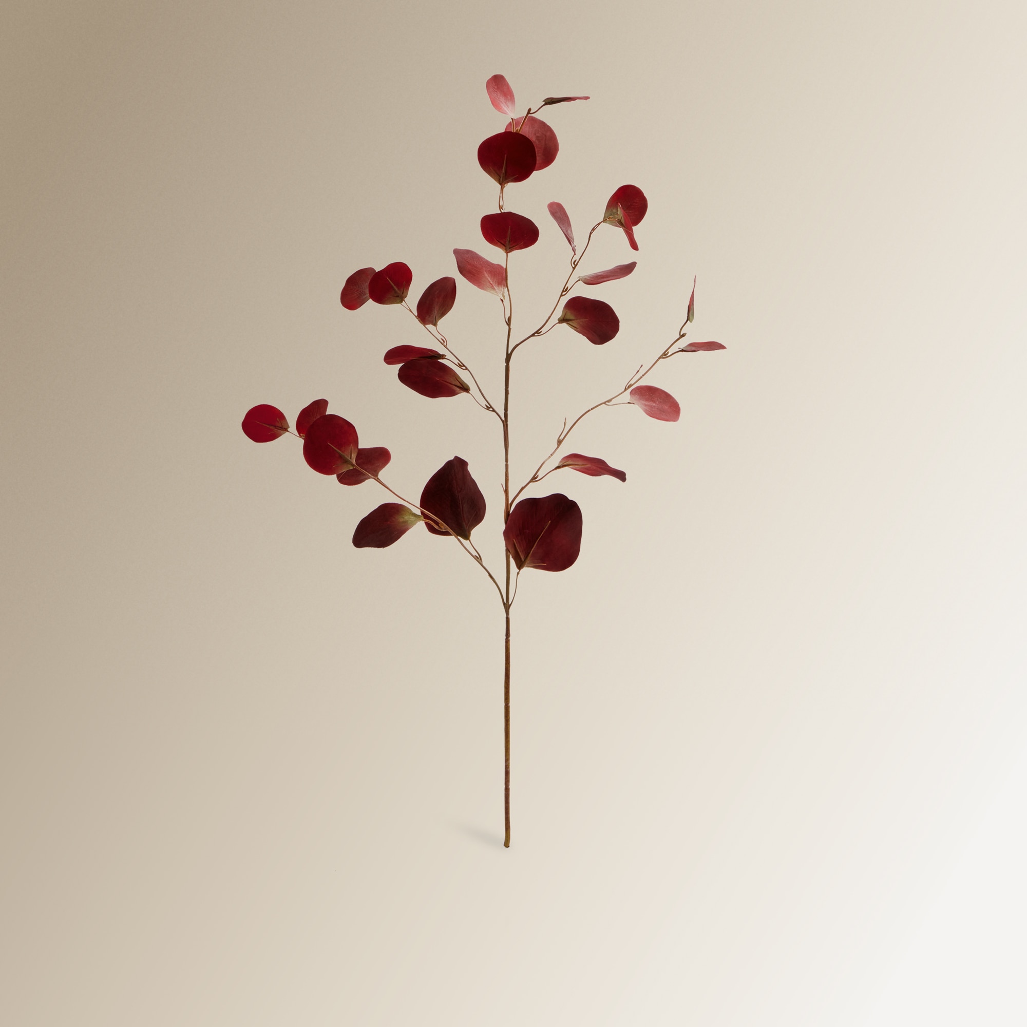 Imagem 0 de Ramo artificial de eucalipto folha redonda