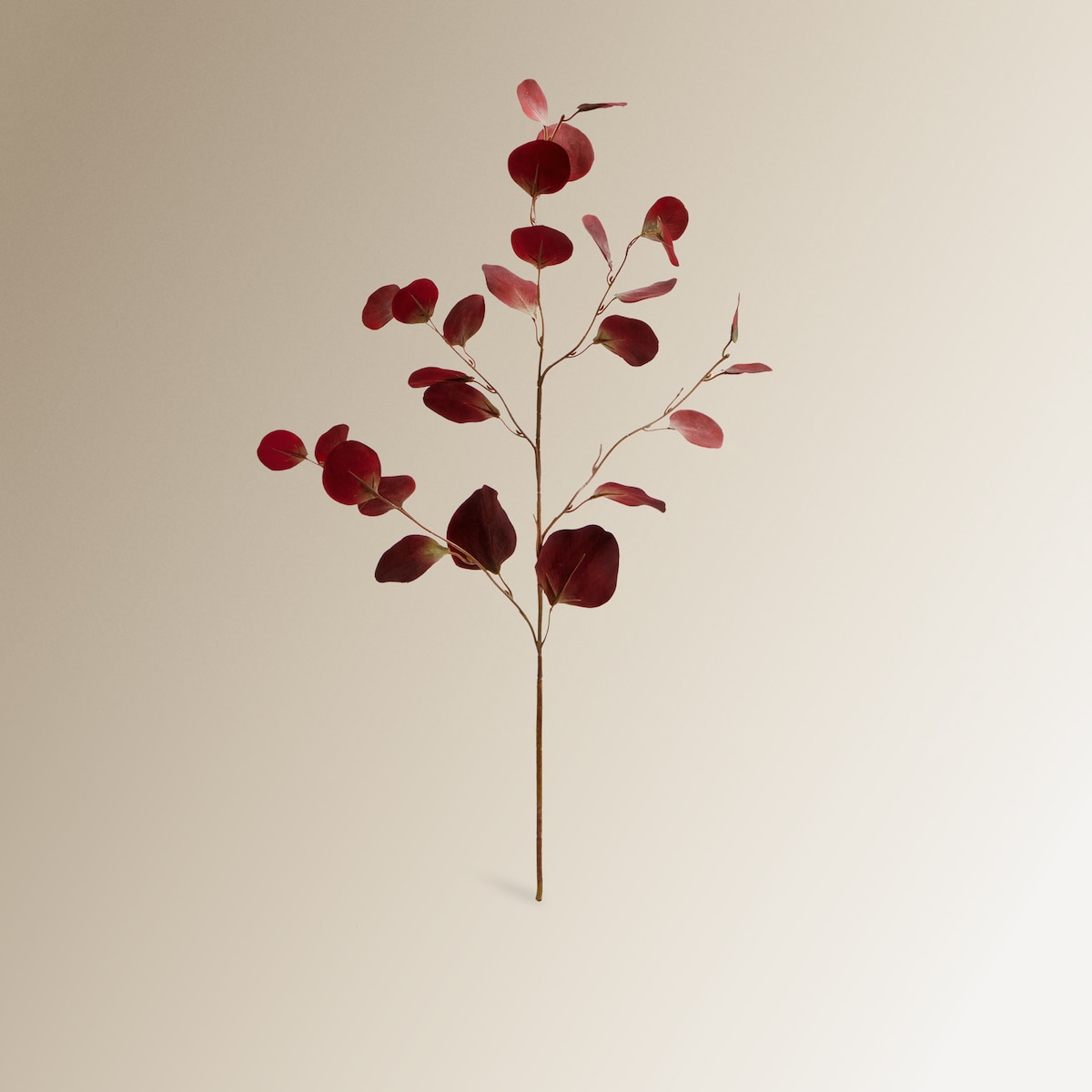 Ramo artificial de eucalipto folha redonda Bordeaux-1