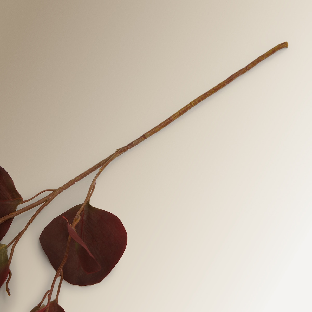 Ramo artificial de eucalipto folha redonda Bordeaux-3