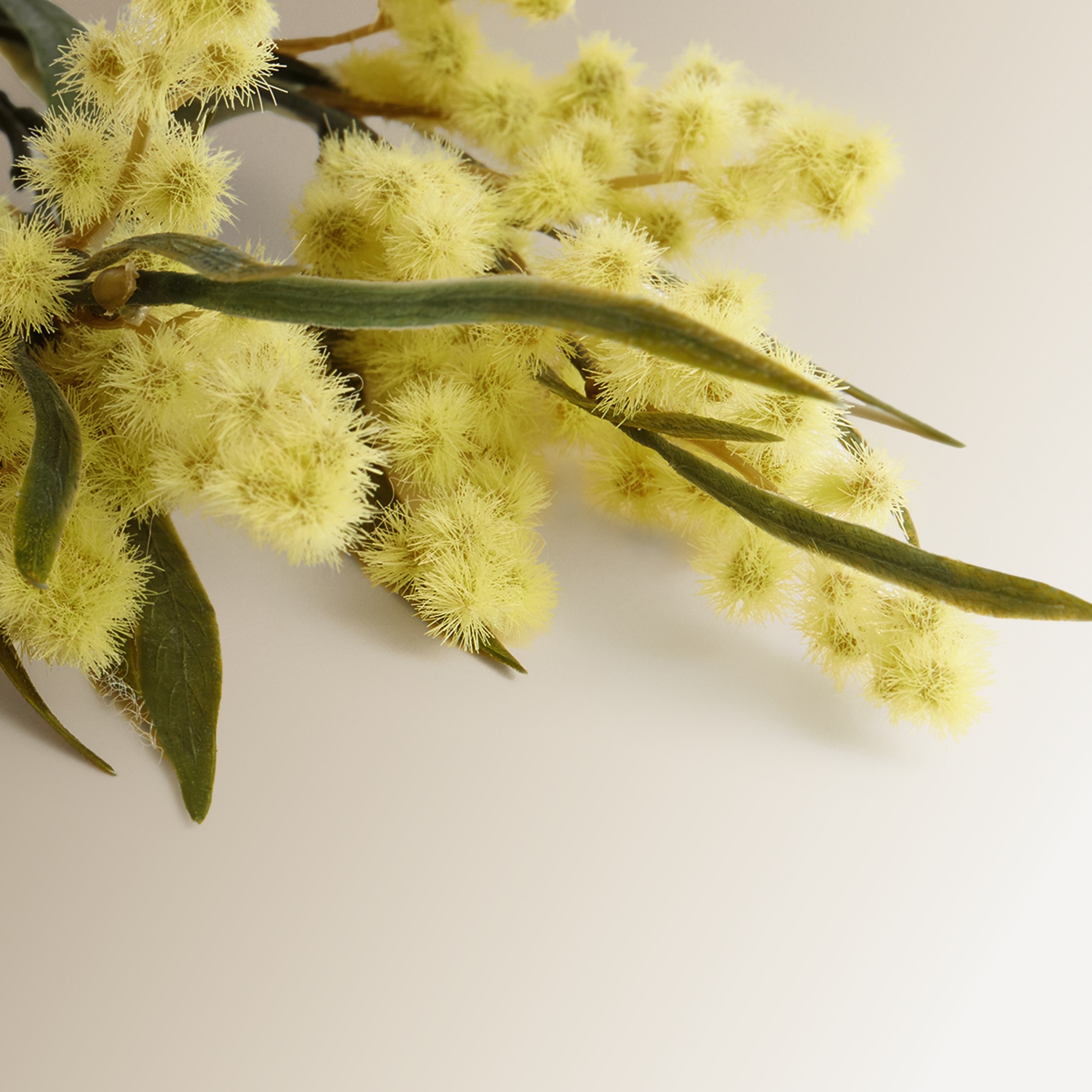 Flor artificial de Mimosa Amarelo-2