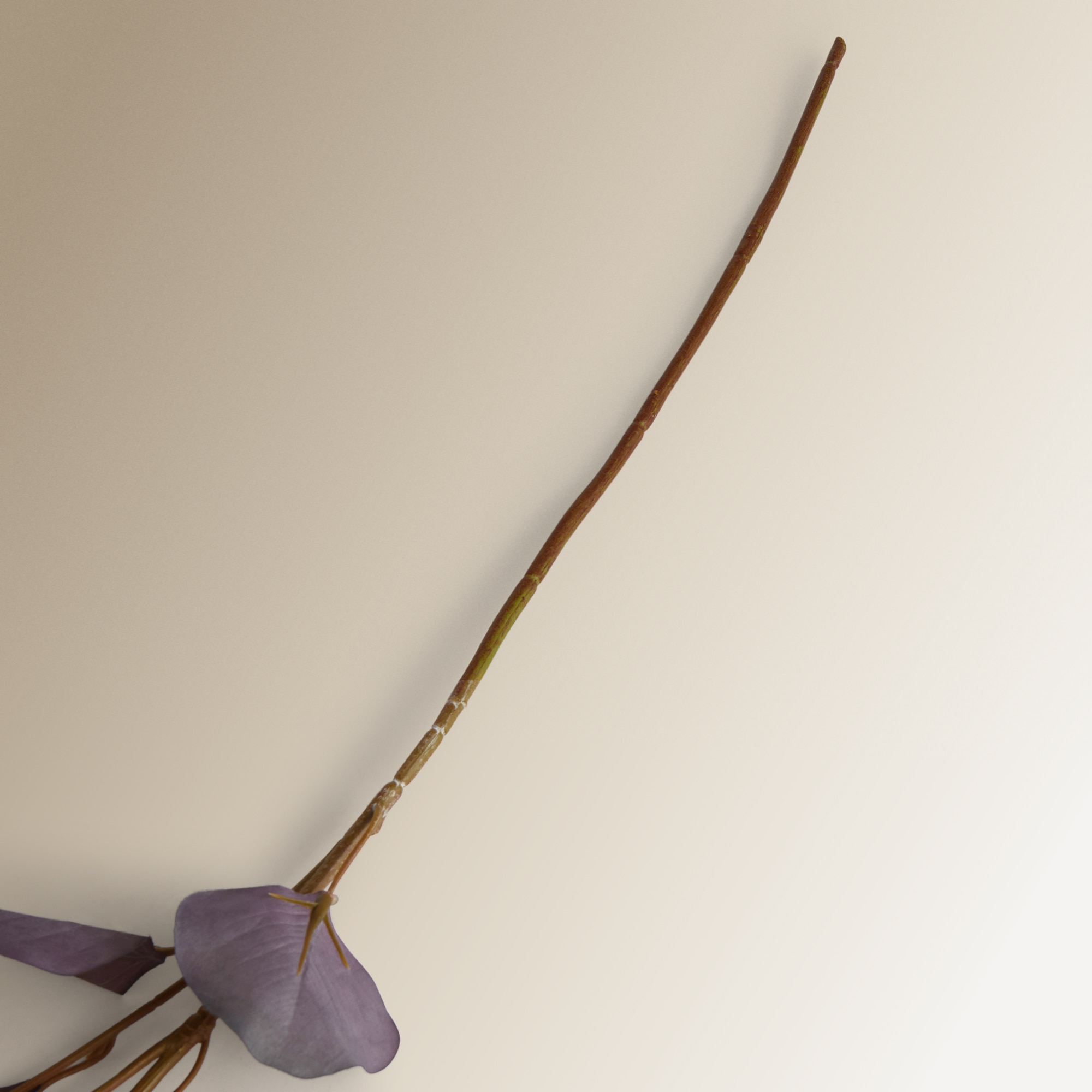 Rama artificial Eucalipto hoja redonda El Corte Inglés - Morado Morado-3