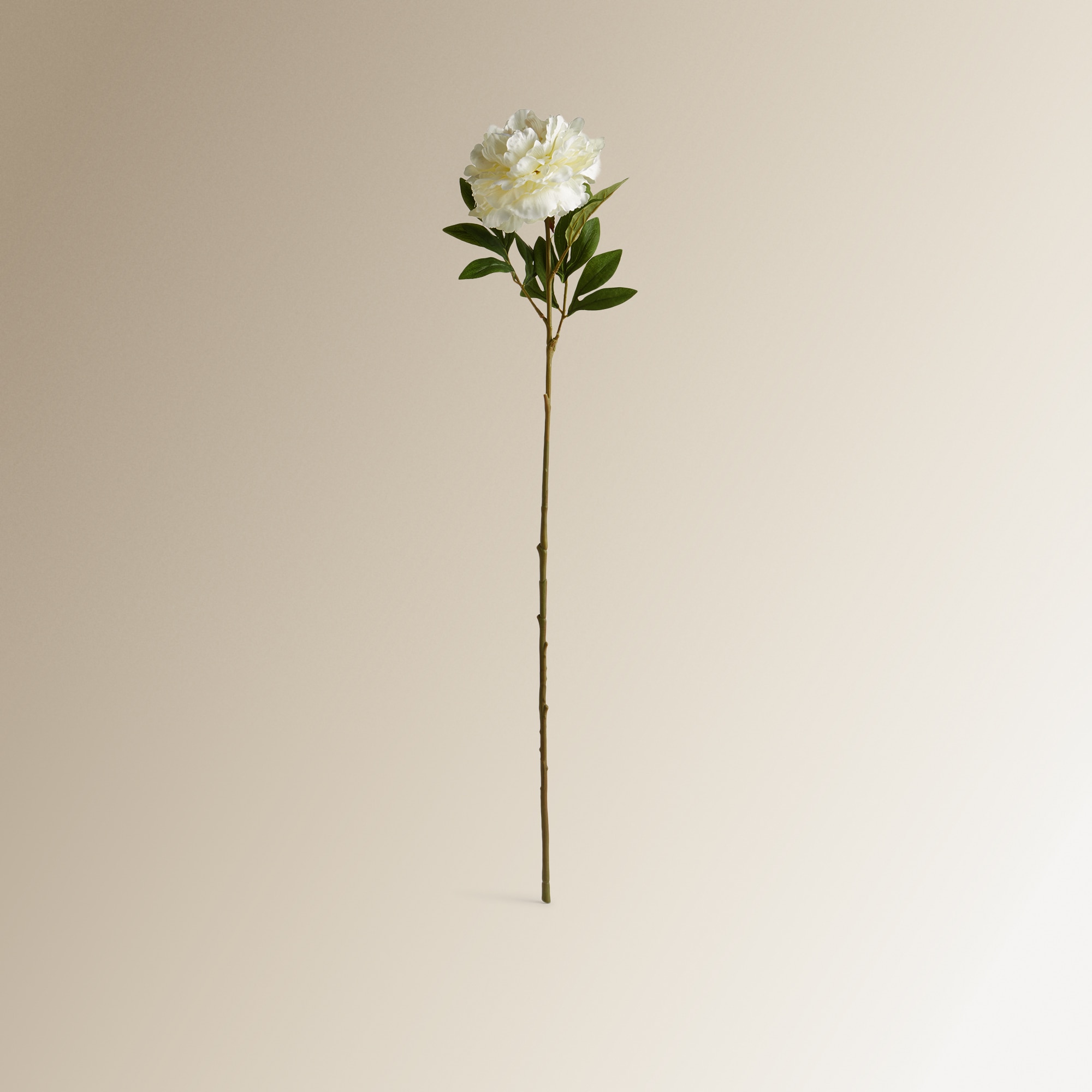 Flor artificial Peónia aberta Branco-1