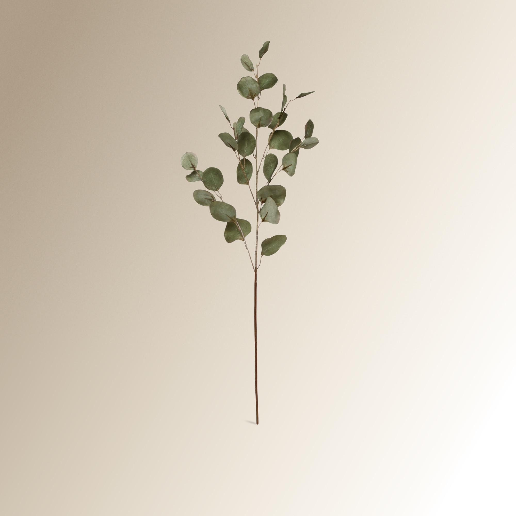 Rama artificial Eucalipto hoja redonda El Corte Inglés - Verde pardo Verde pardo-1