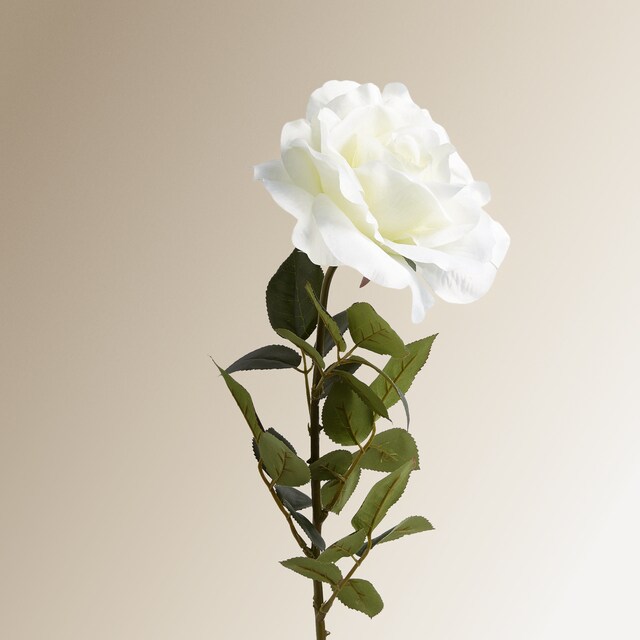 Imagem 0 de Flor Artificial Rosa Aberta Tamanho Comprido