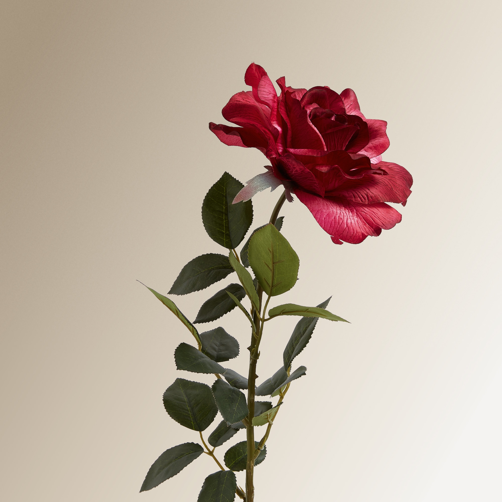 Imagem 0 de Flor Artificial Rosa Aberta Tamanho Comprido